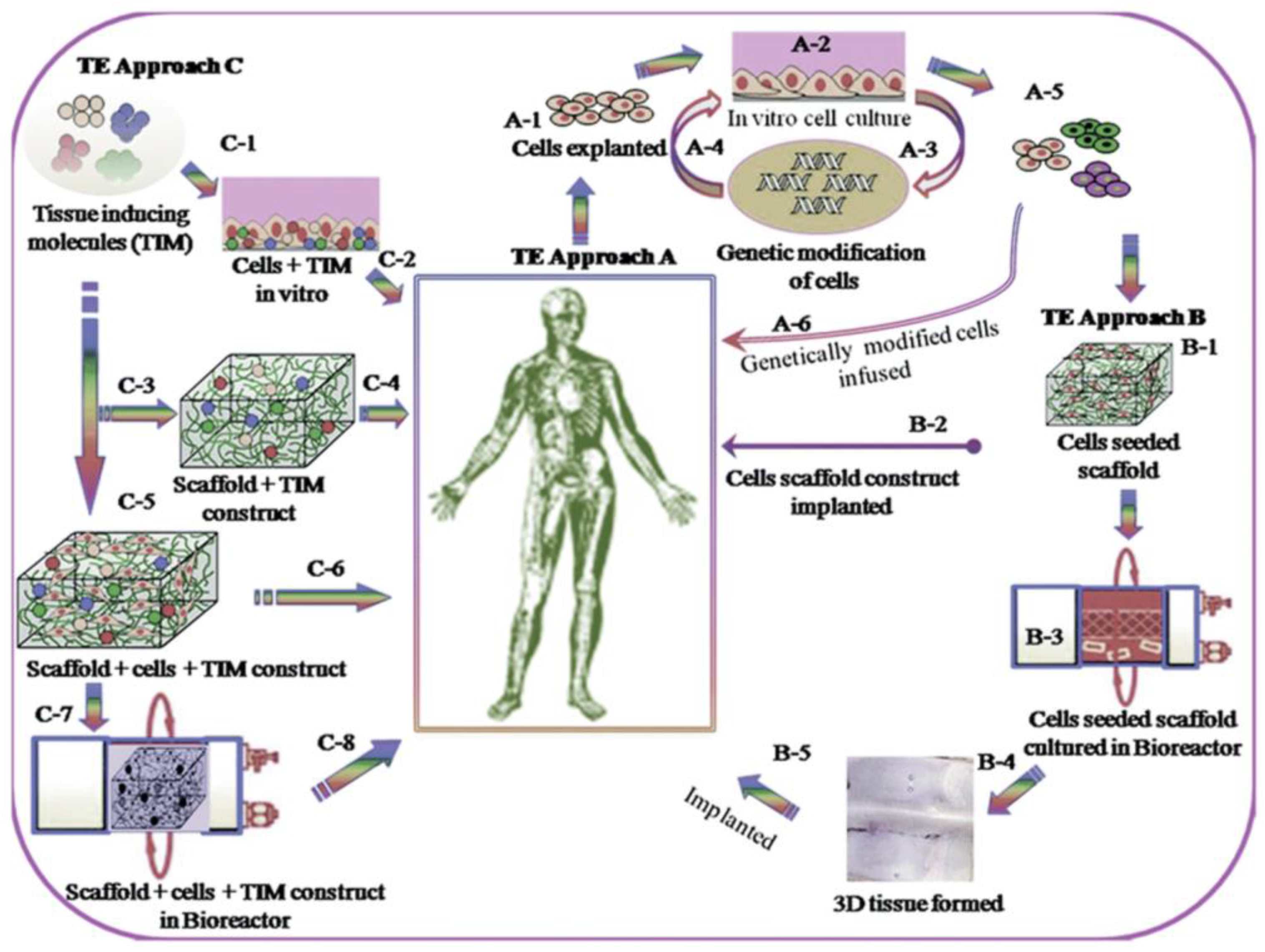 Molecules Free Full Text A Review Of Injectable Polymeric Hydrogel Systems For Application In Bone Tissue Engineering Html