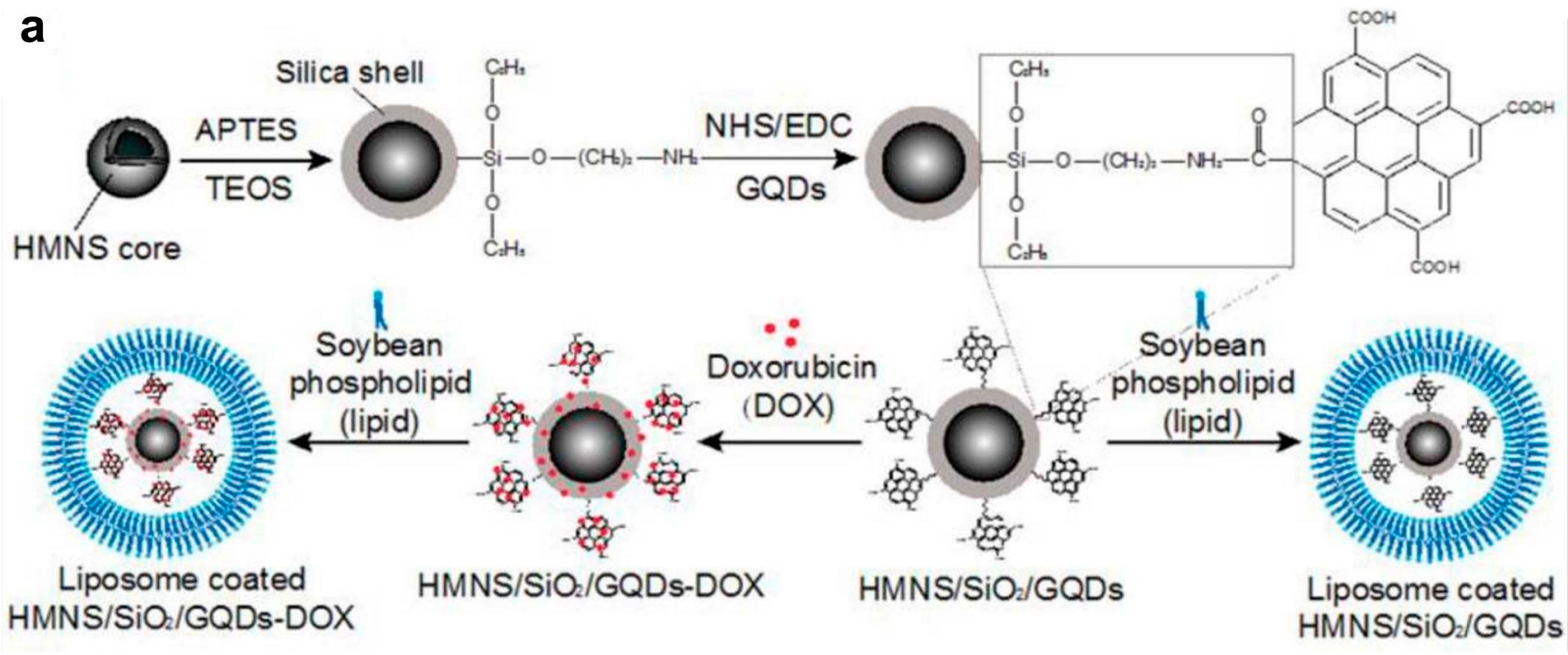 Molecules 21 01585 g009a