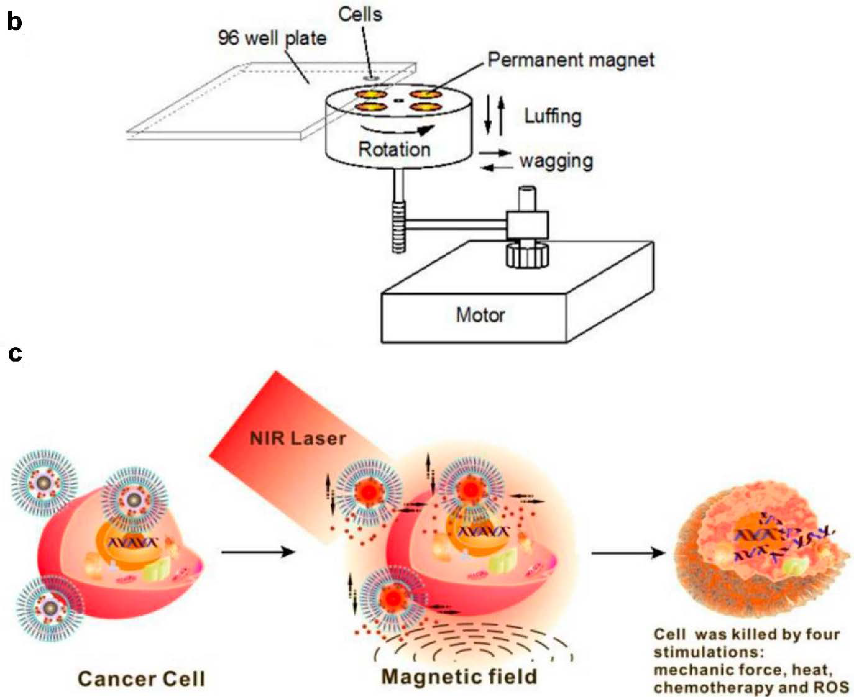 Molecules 21 01585 g009b