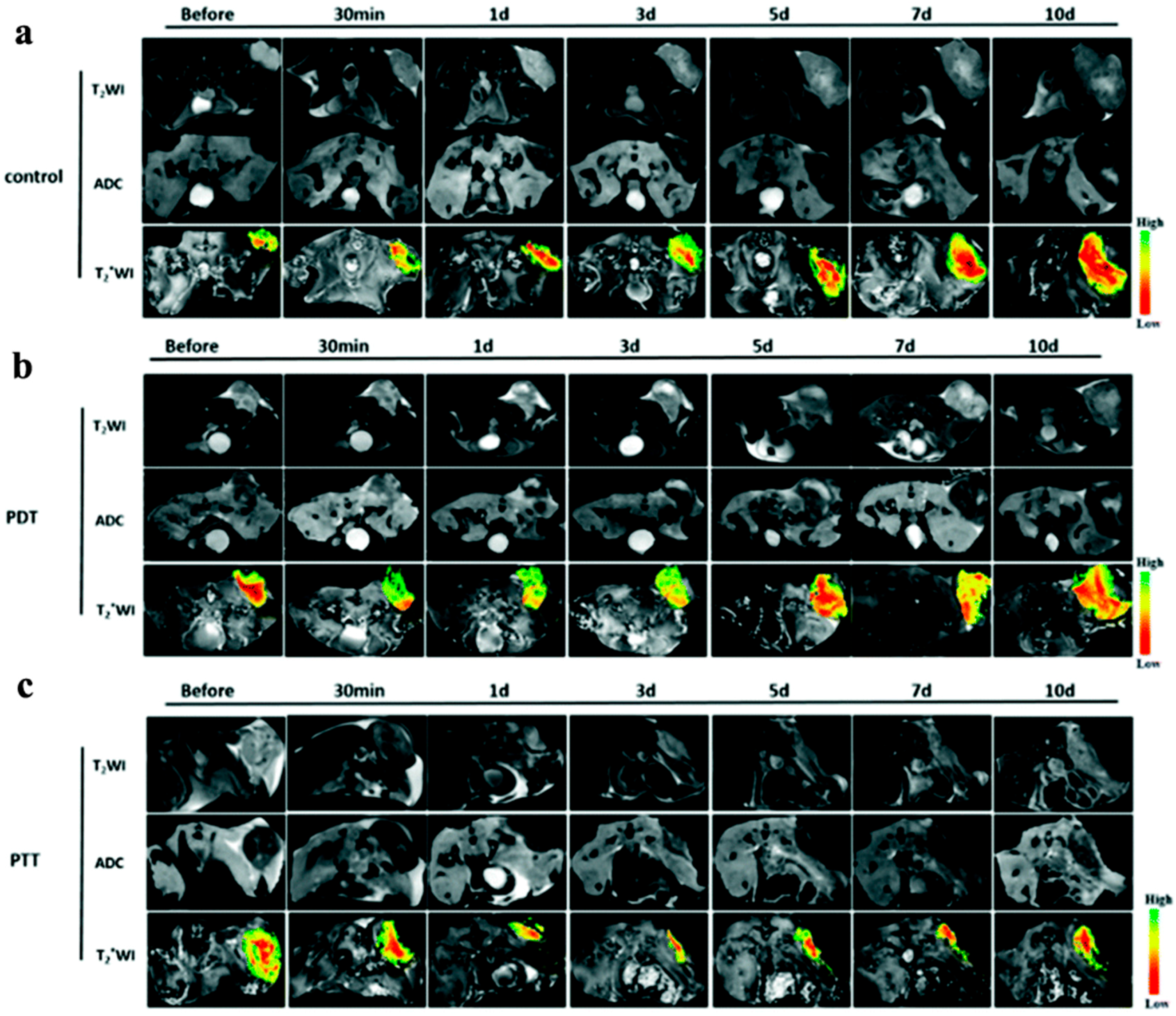 Molecules 21 01585 g012a