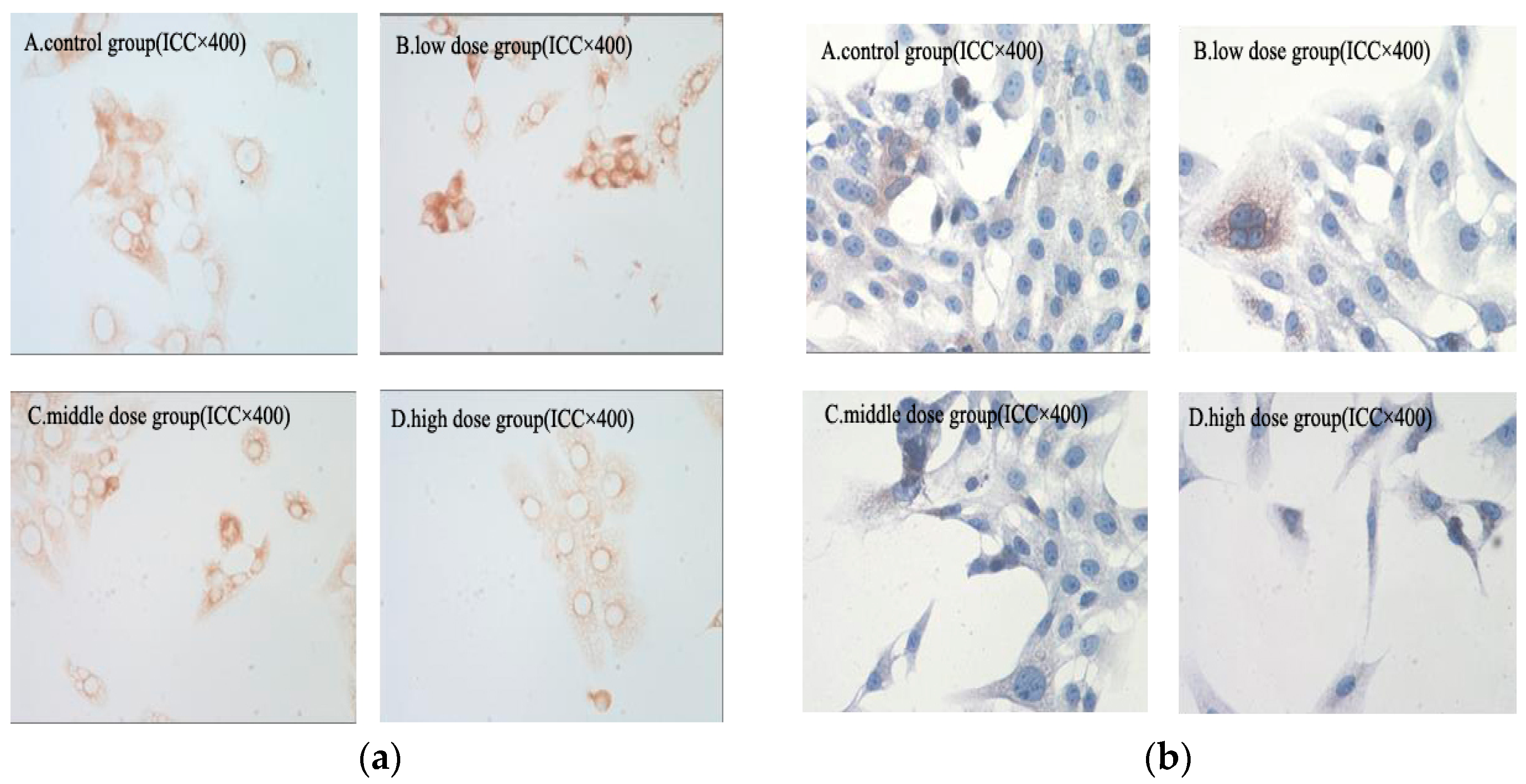 Molecules 21 01599 g008 550