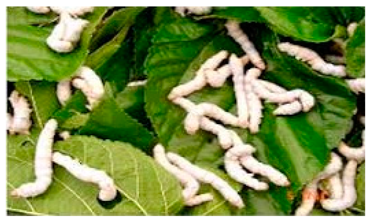 Molecules 21 01600 g003 550