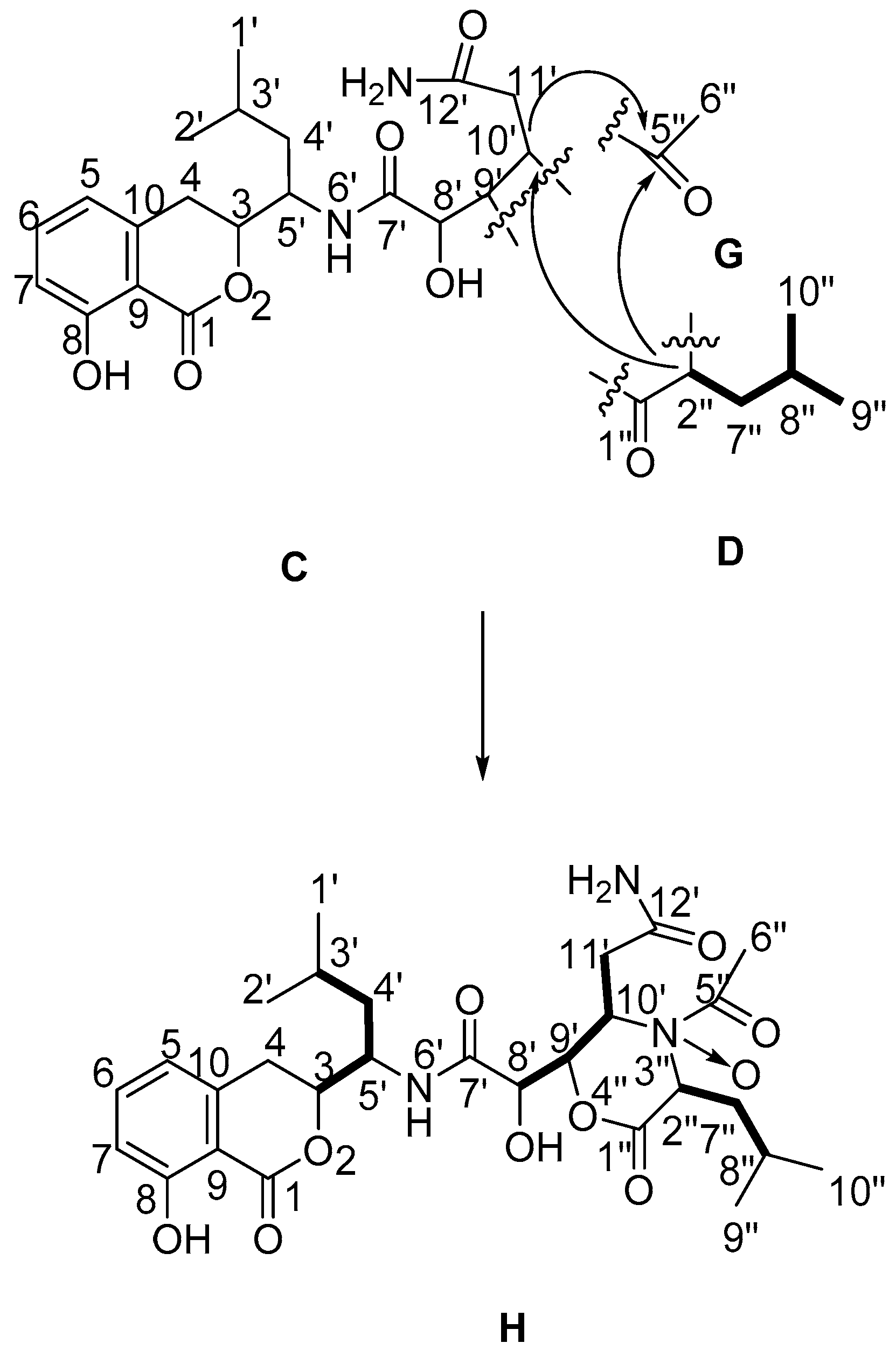Molecules 21 01601 g005