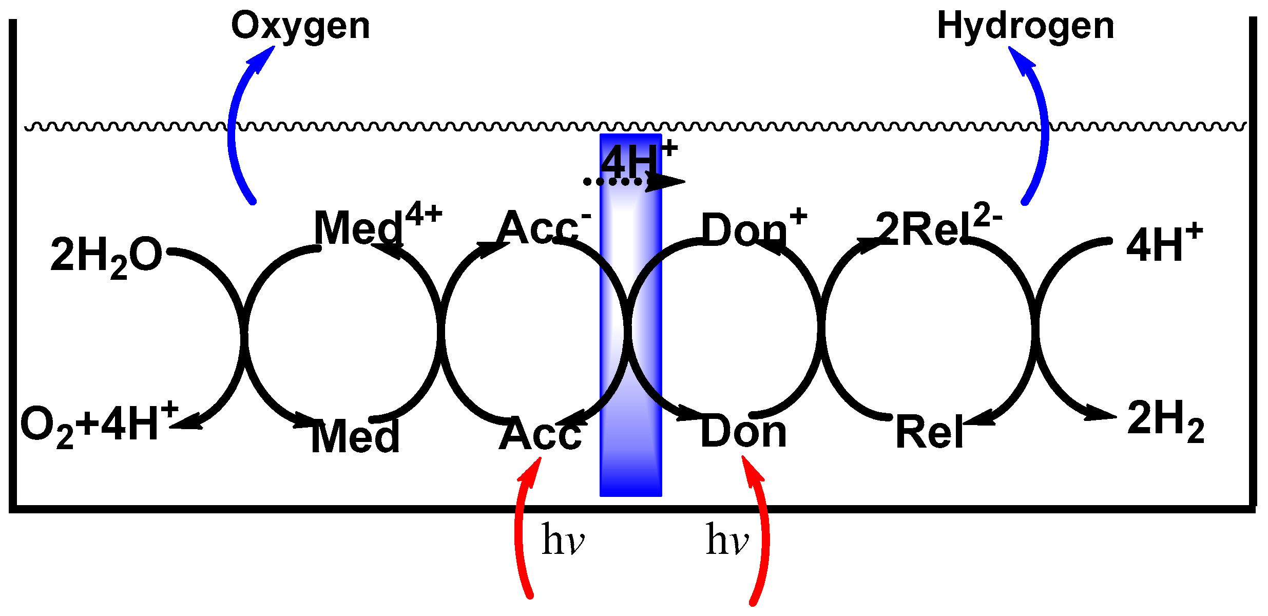 Molecules 21 01638 g001