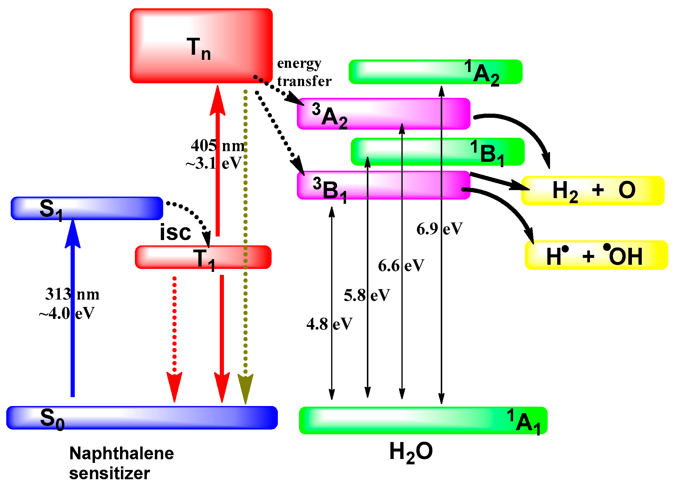 Molecules 21 01638 g005