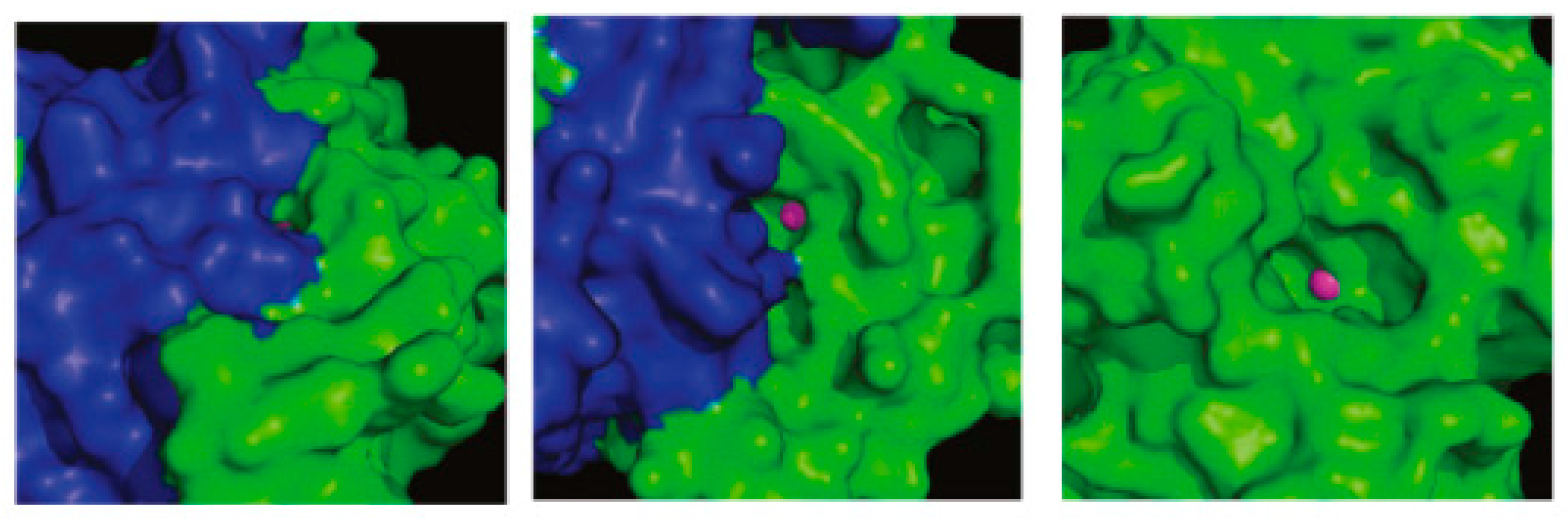 Molecules 21 01649 g023 550