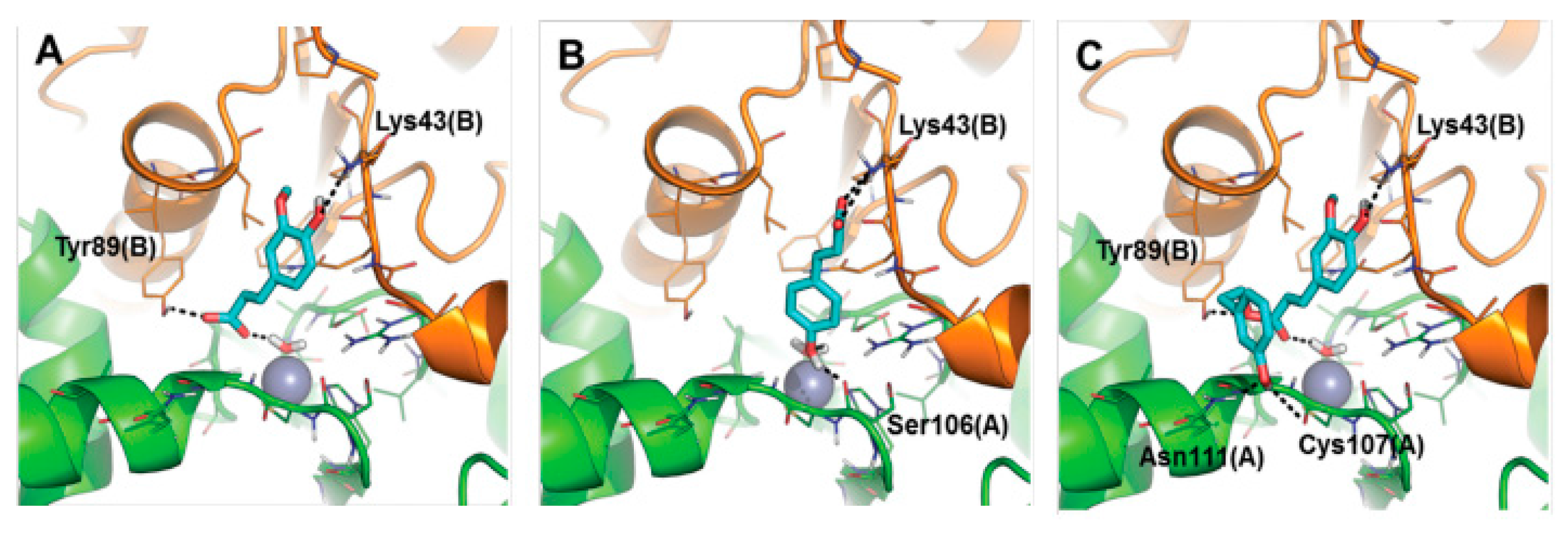 Molecules 21 01649 g025 550