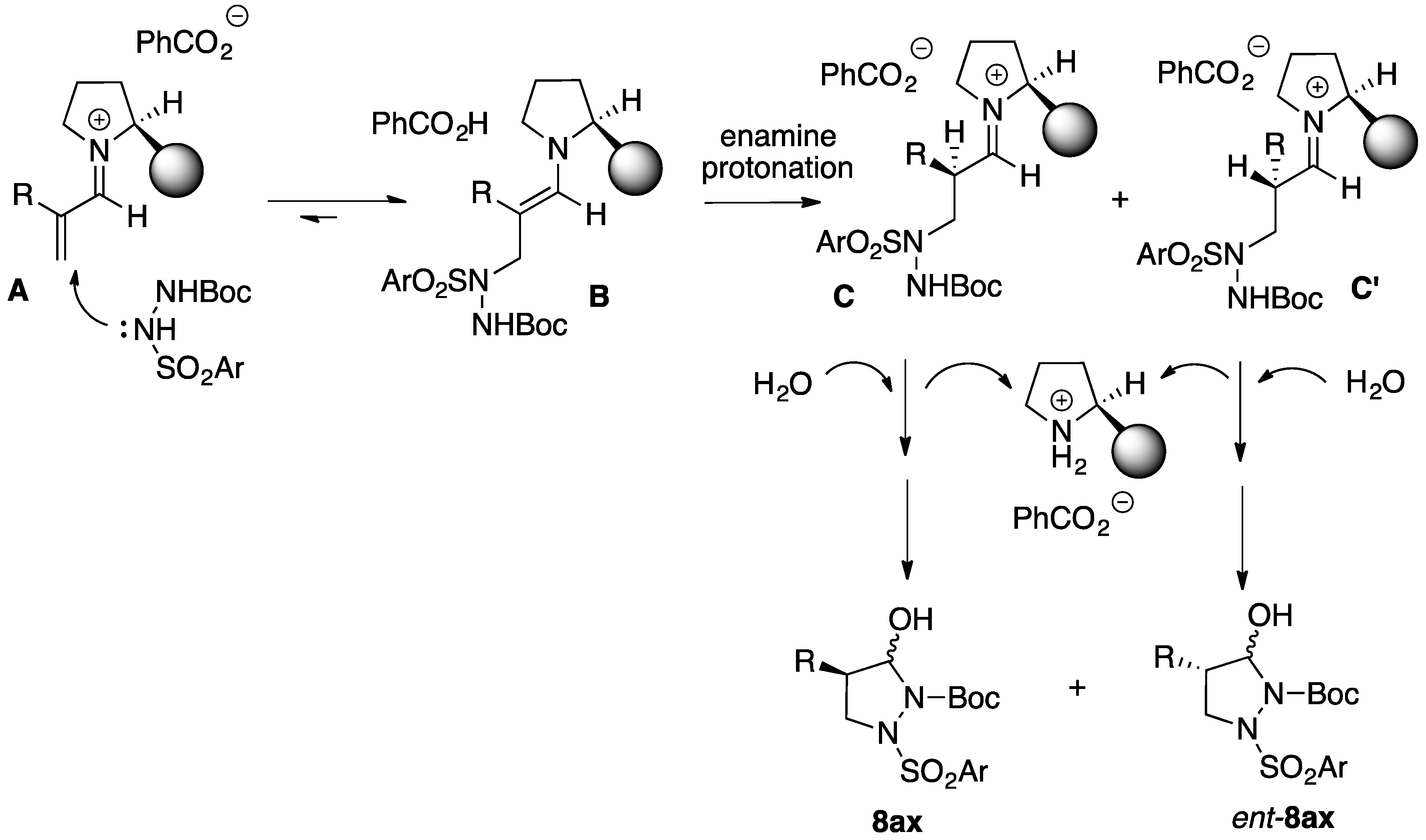 Molecules 21 01655 sch006 550