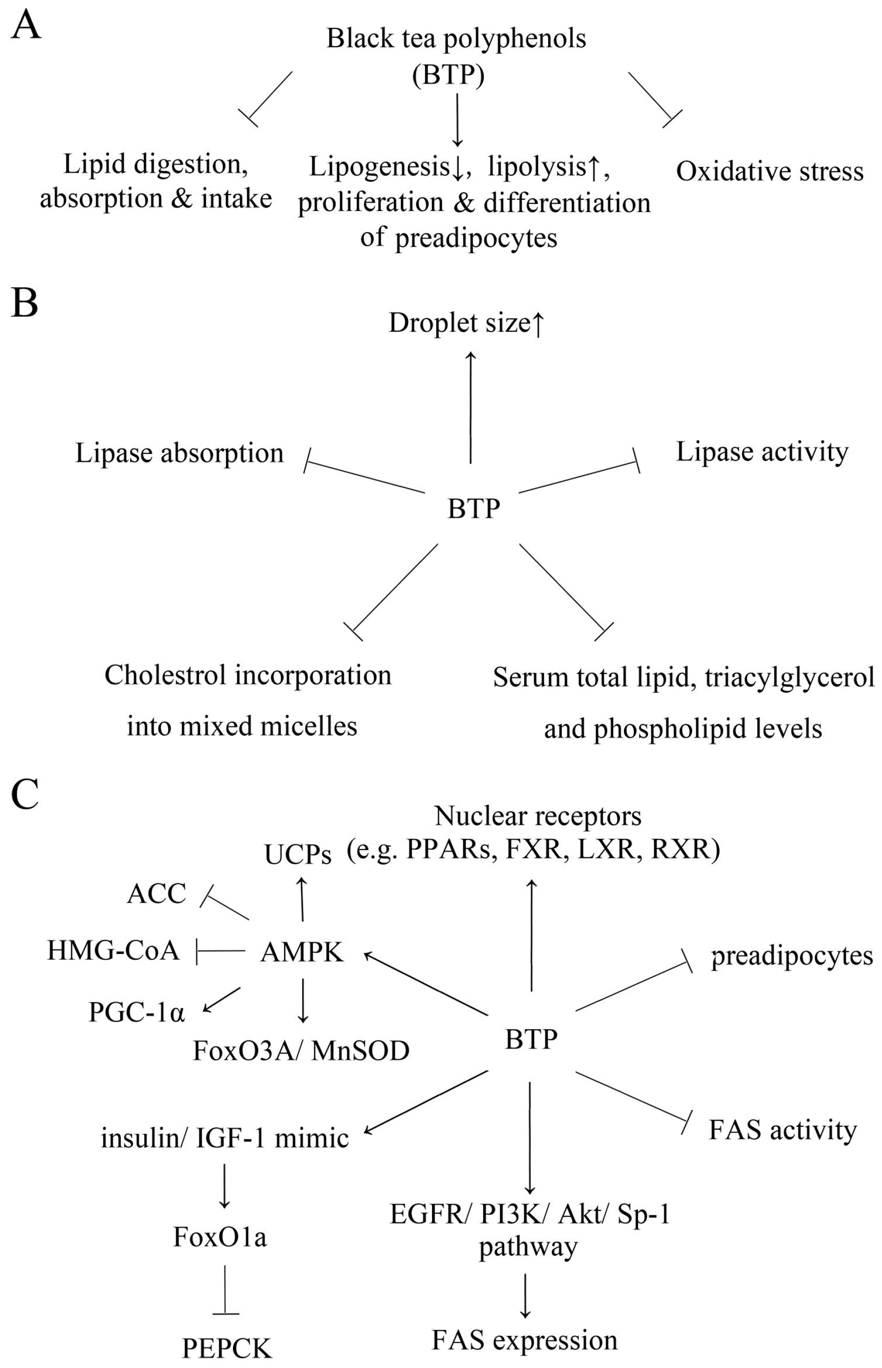 Molecules 21 01659 g001 550