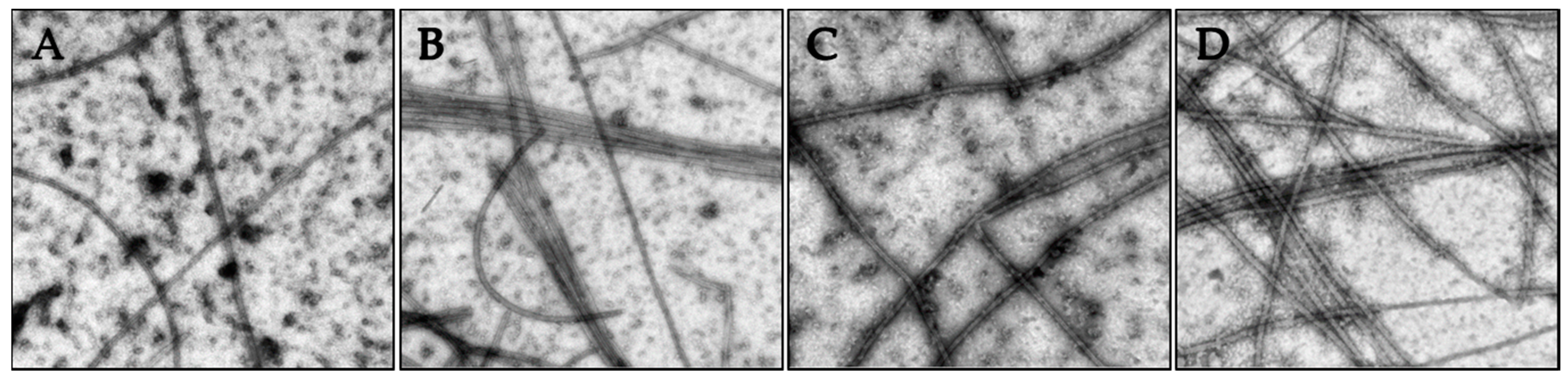 Molecules 21 01661 g005