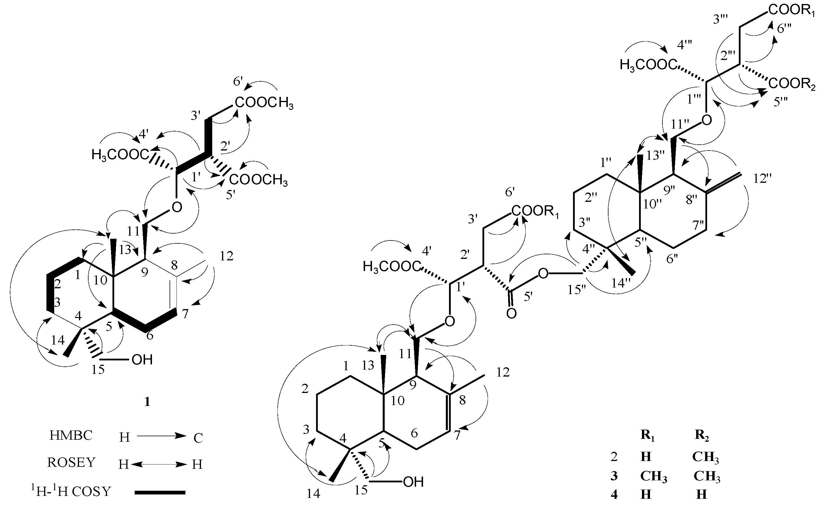 Molecules 21 01692 g001