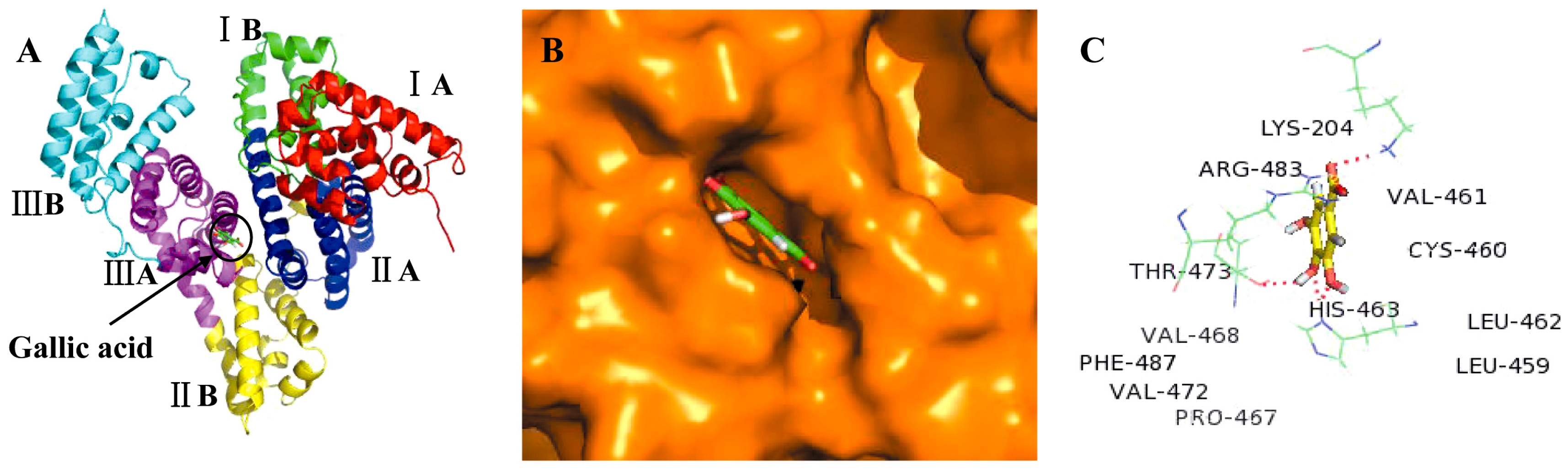 Molecules 21 01706 g004 550