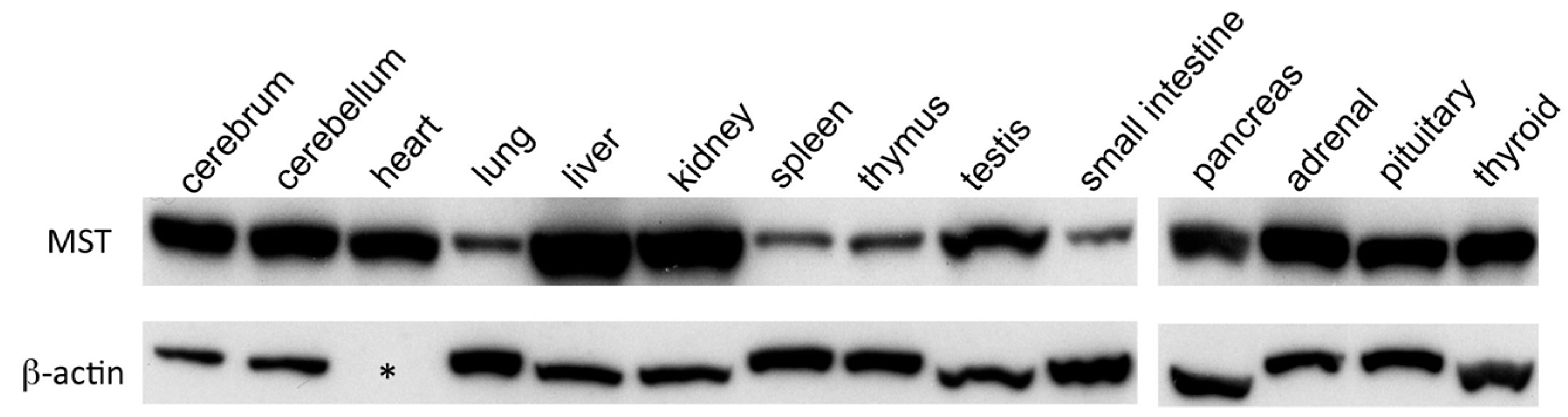 Molecules 21 01707 g001