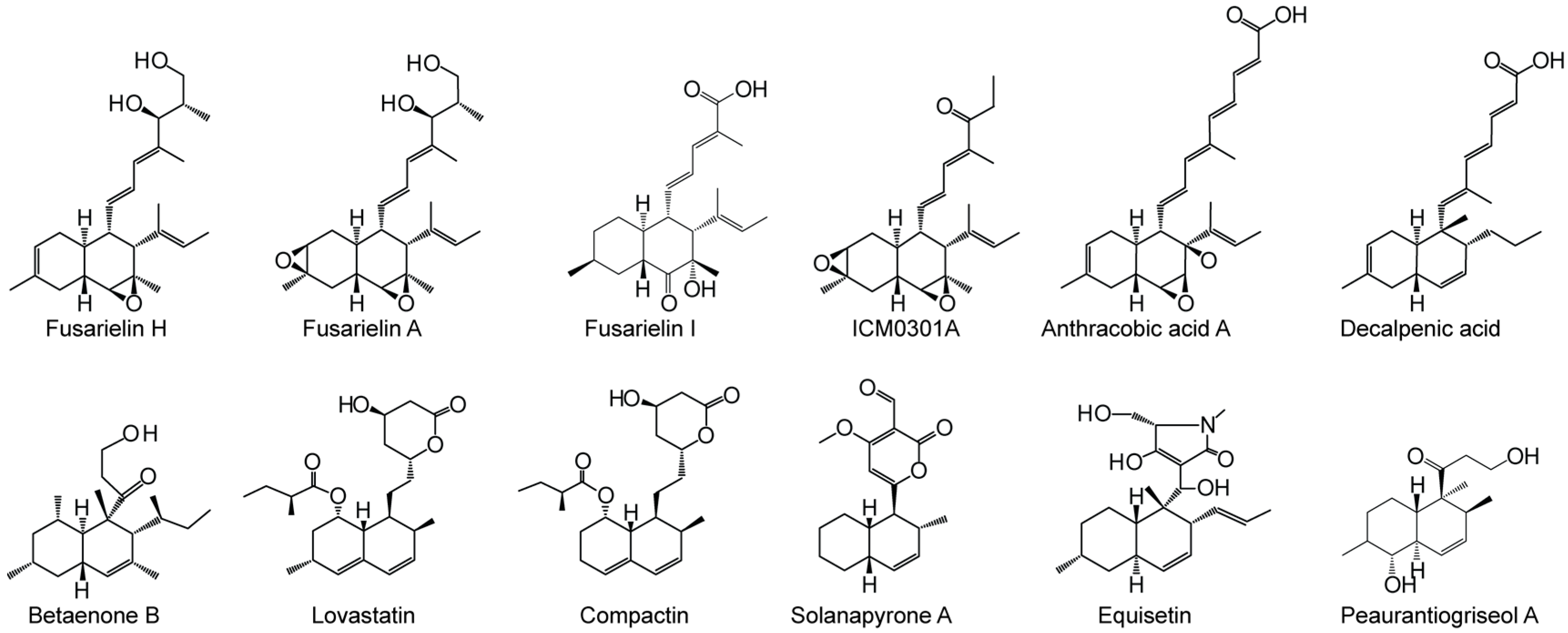 Molecules 21 01710 g001