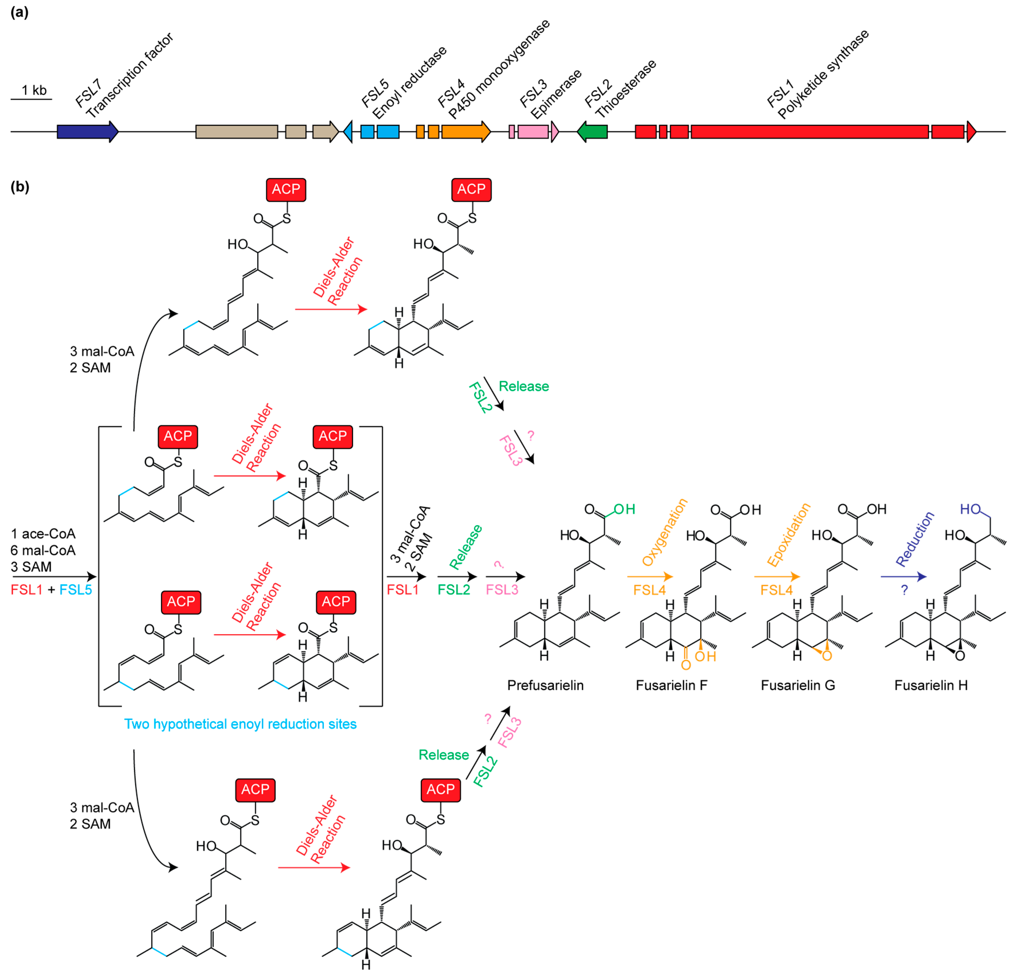 Molecules 21 01710 g003