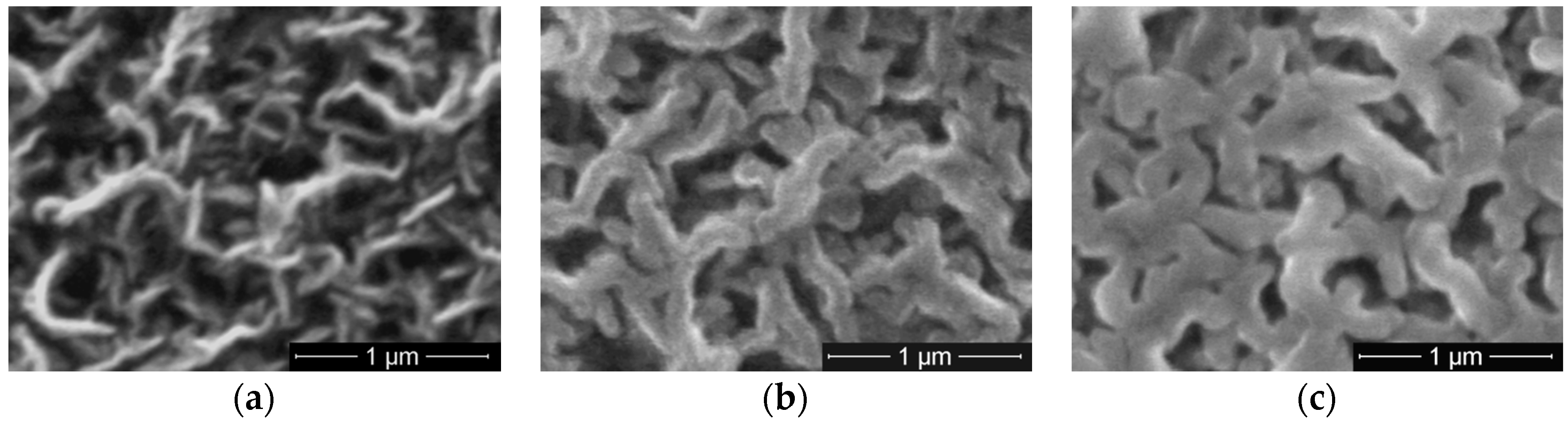 Molecules 21 01711 g008 550