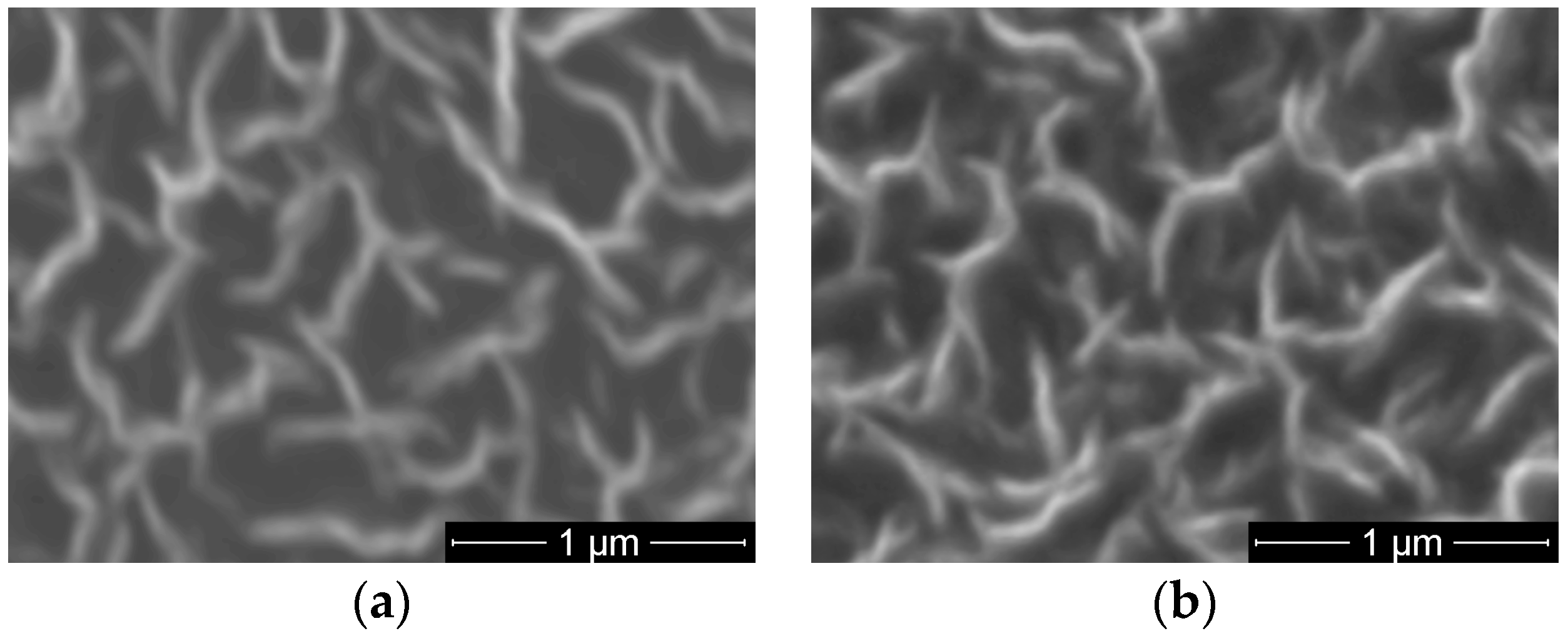Molecules 21 01711 g010 550