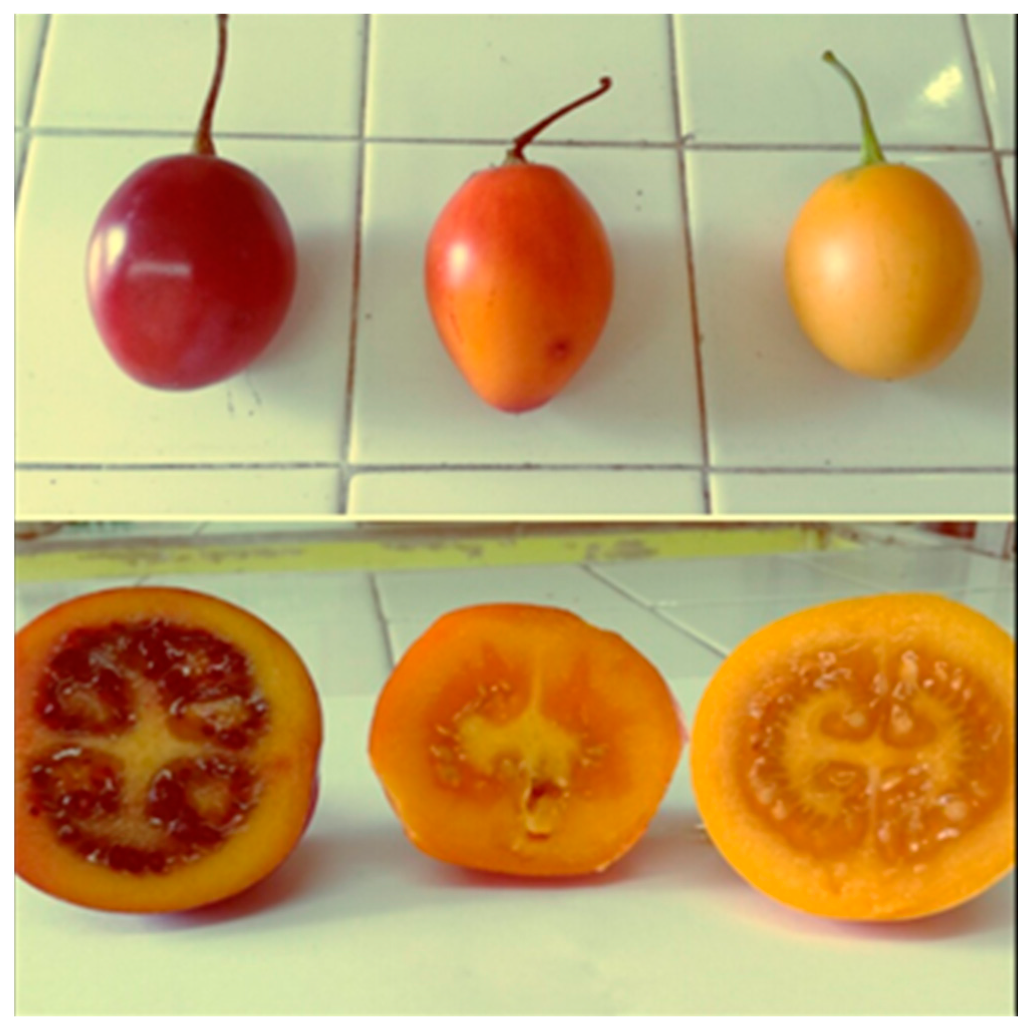 Molecules 21 01729 g001 550