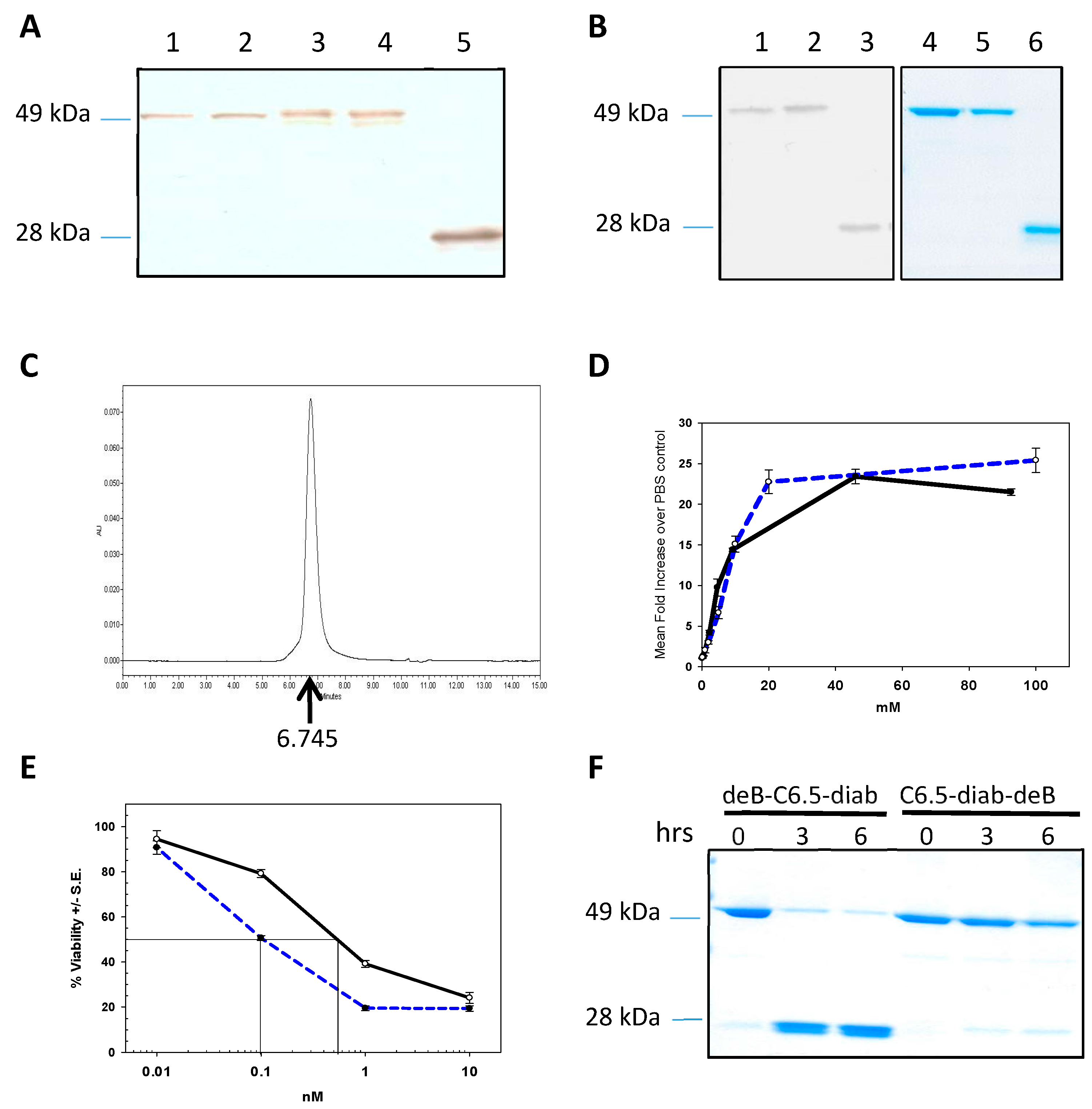 Molecules 21 01741 g001 550