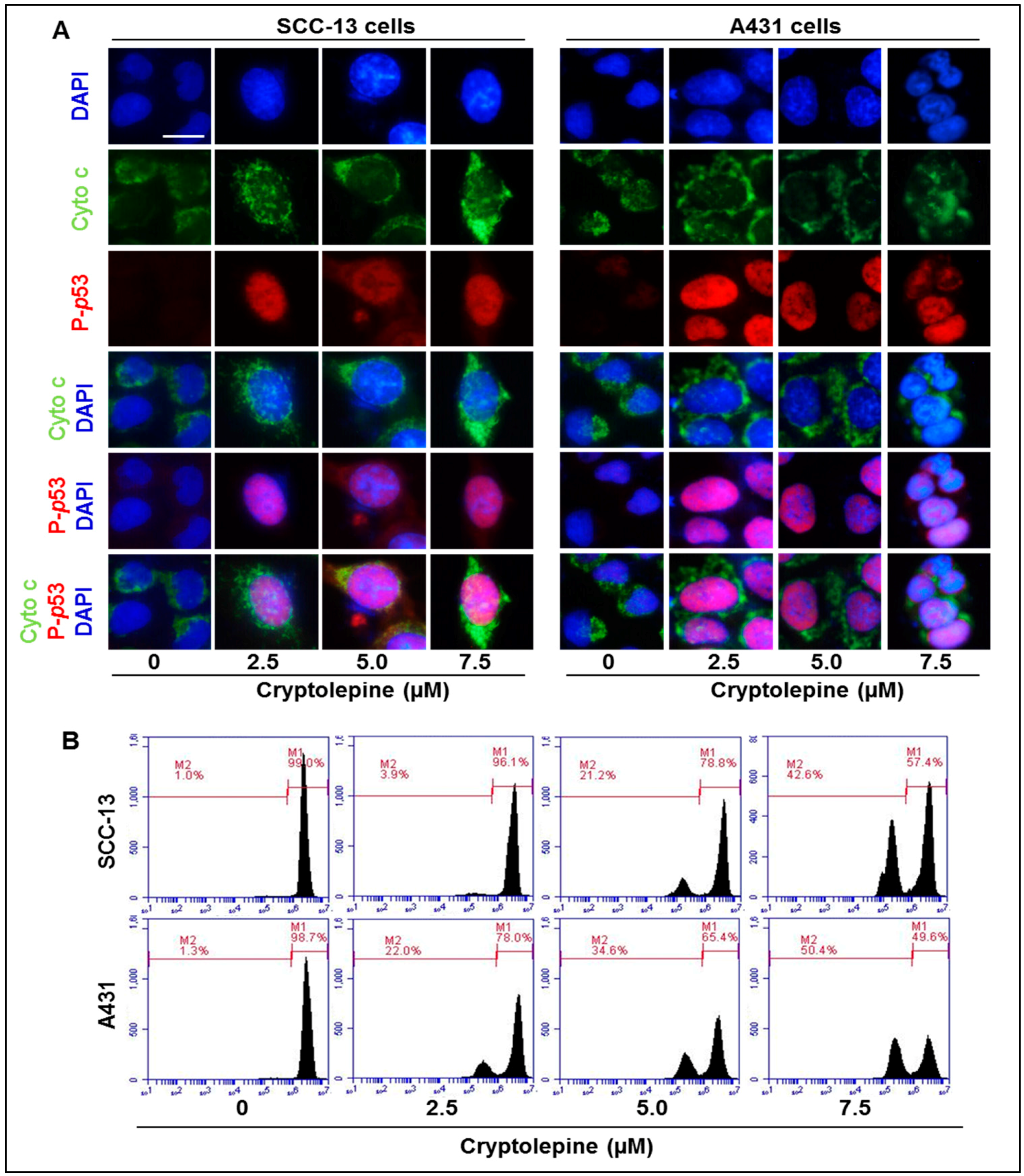 Molecules 21 01758 g005