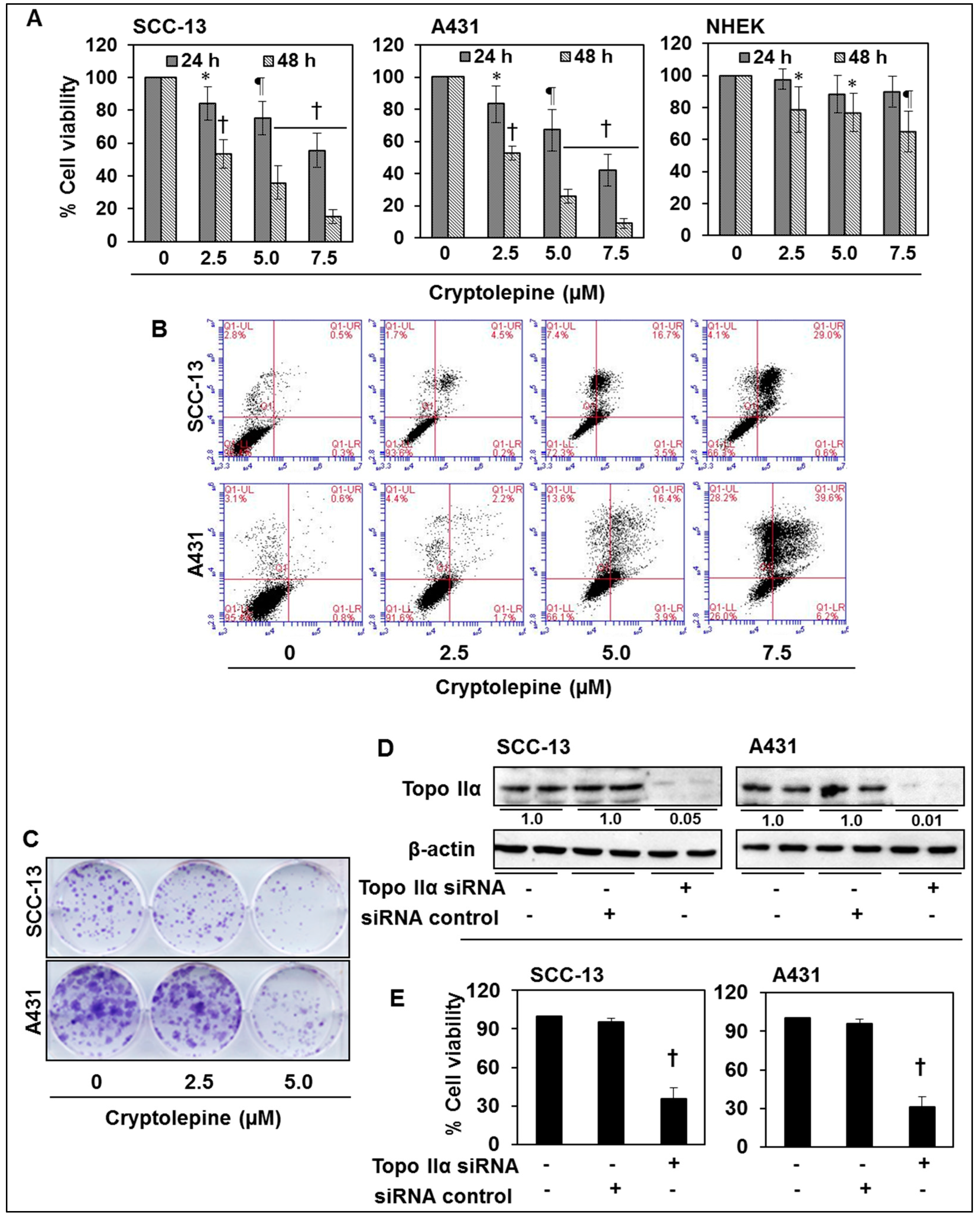 Molecules 21 01758 g006