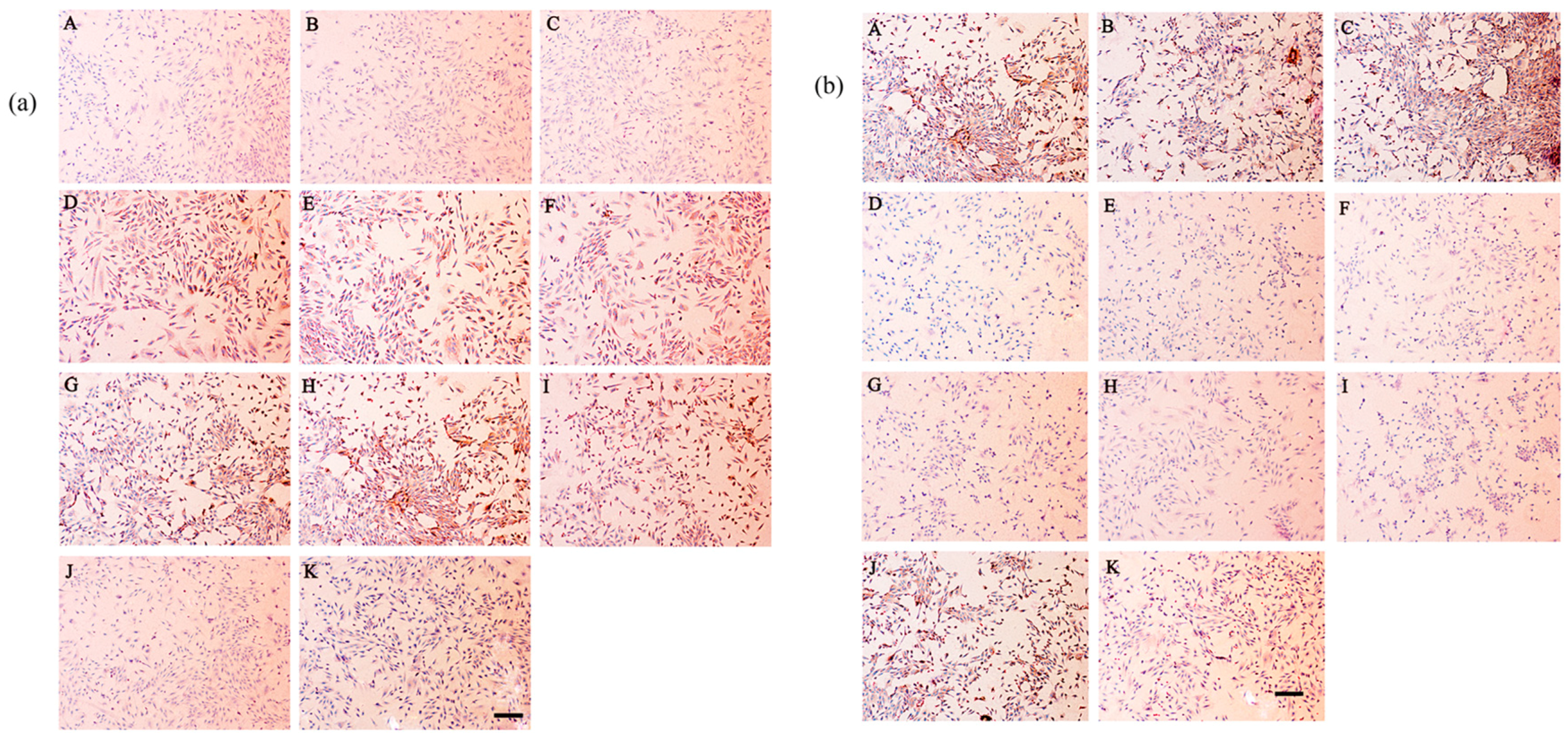 Molecules 22 00003 g004