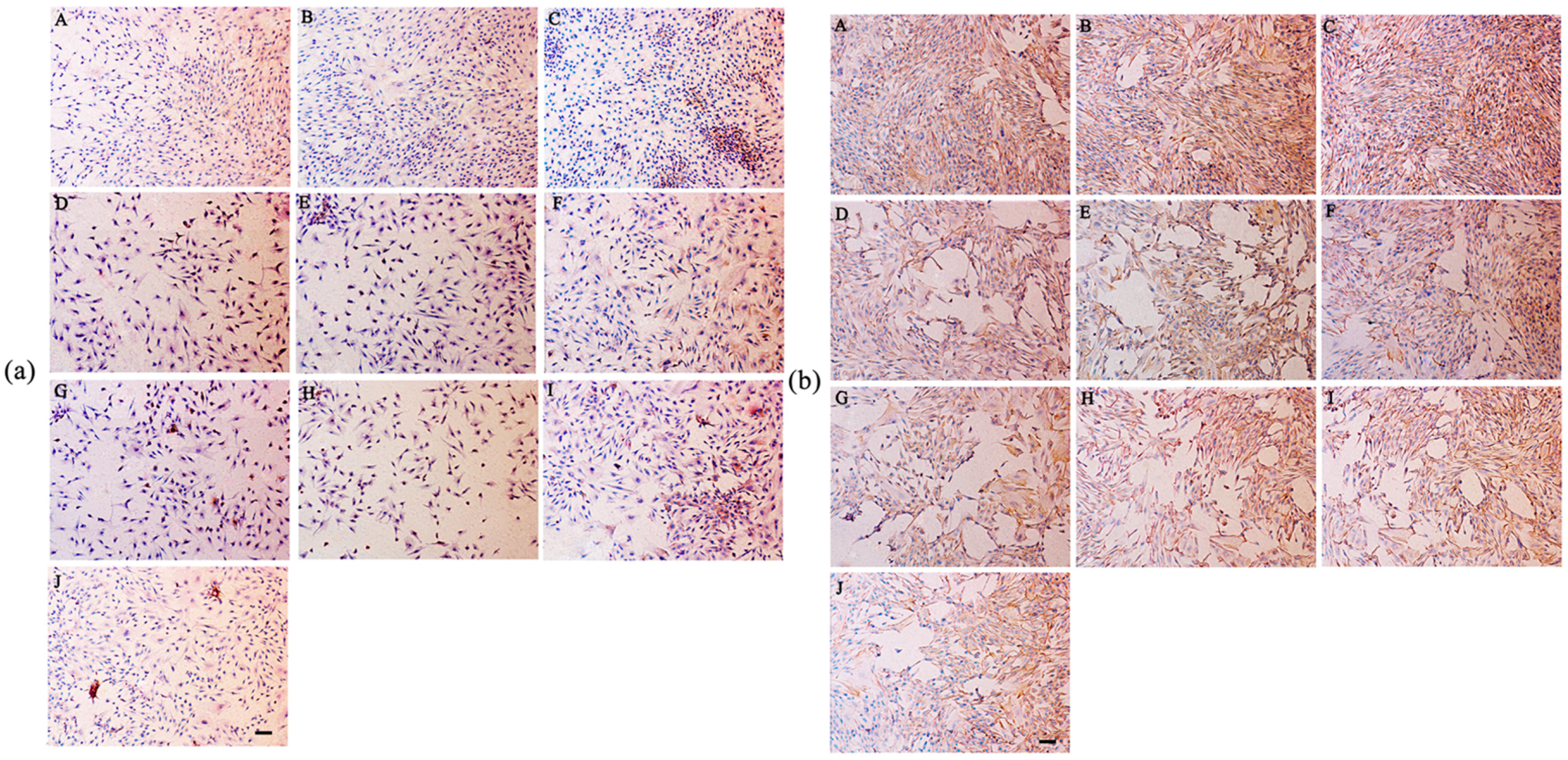 Molecules 22 00003 g008