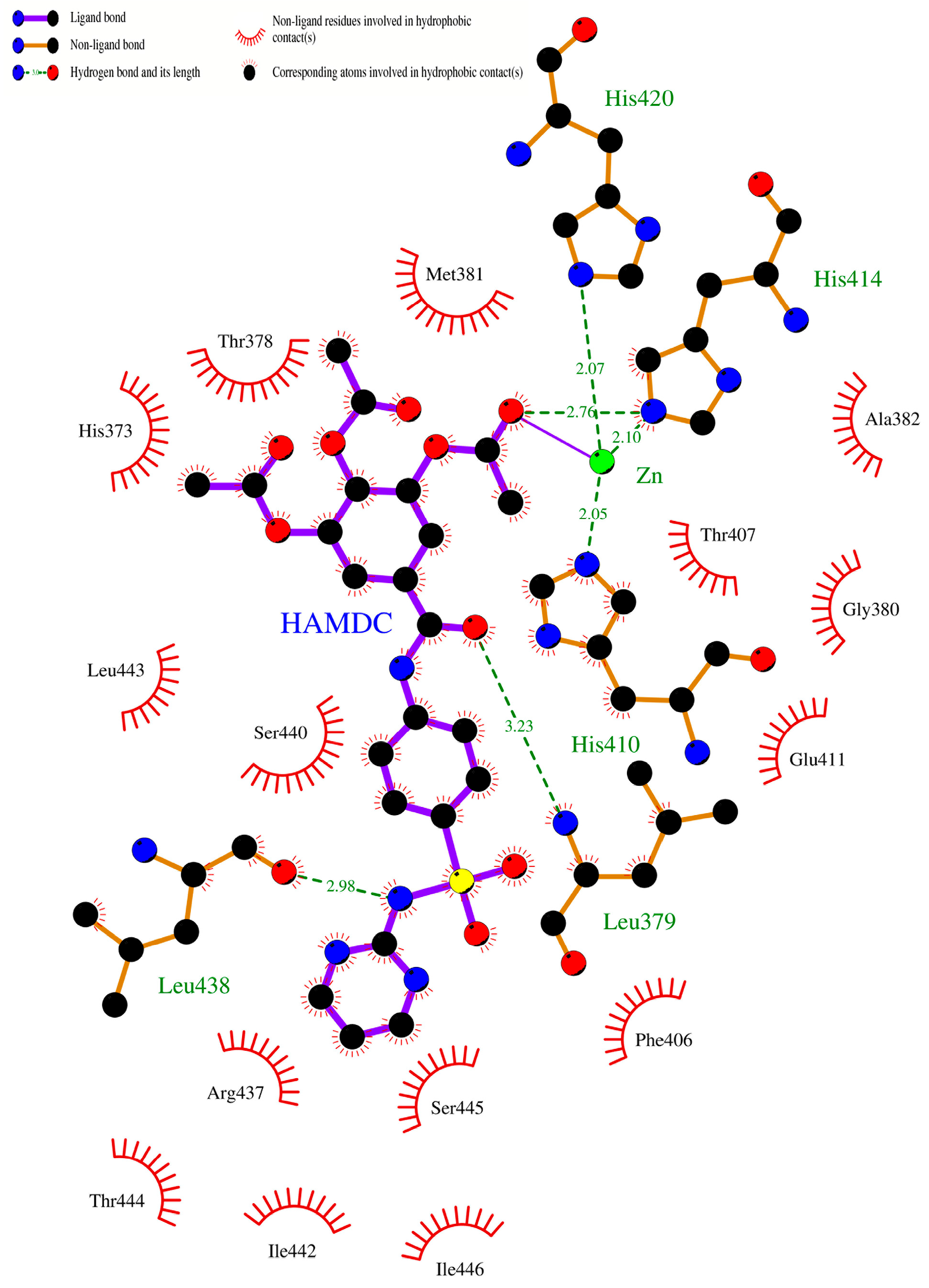 Molecules 22 00003 g011