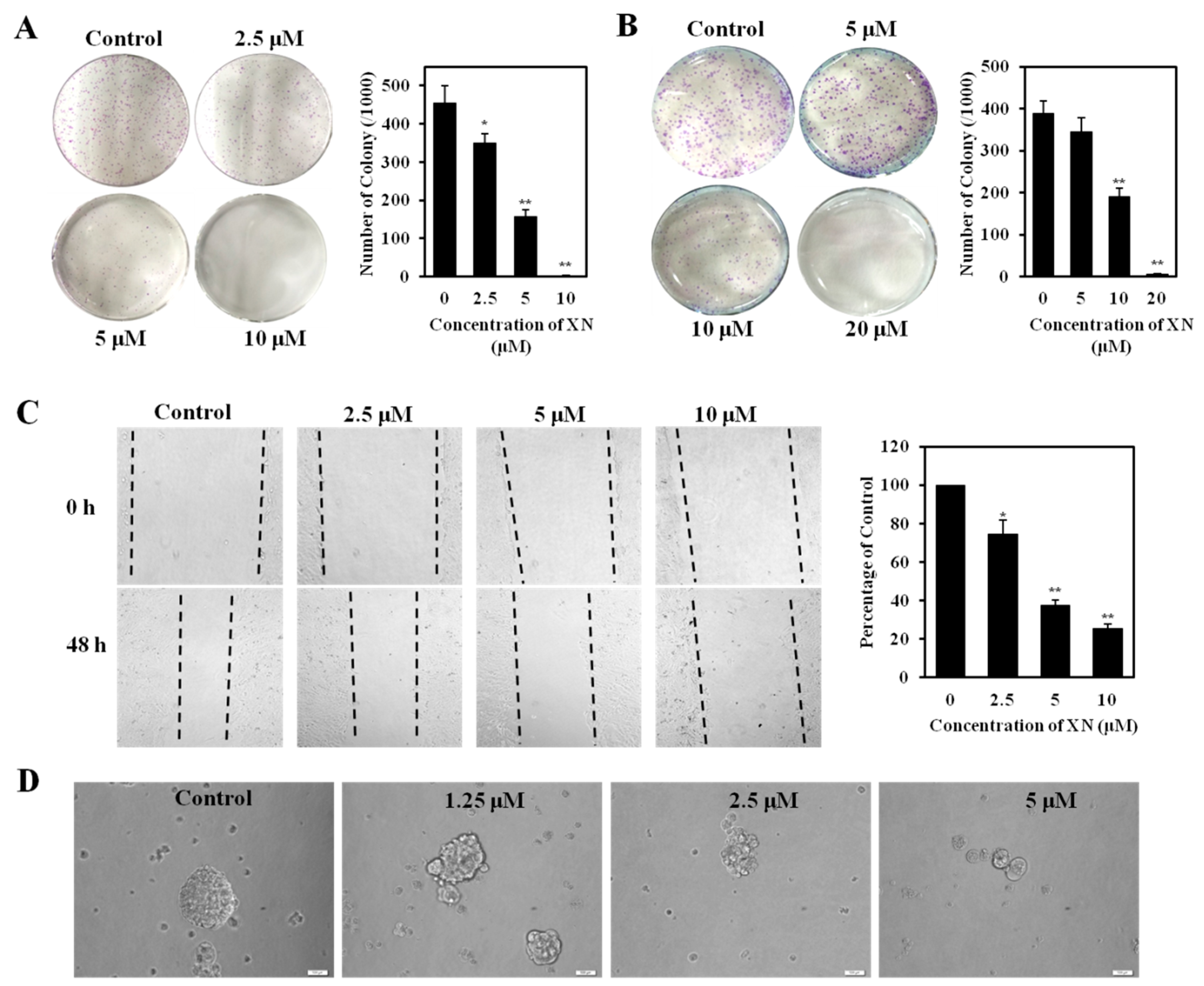 Molecules 22 00036 g005 550
