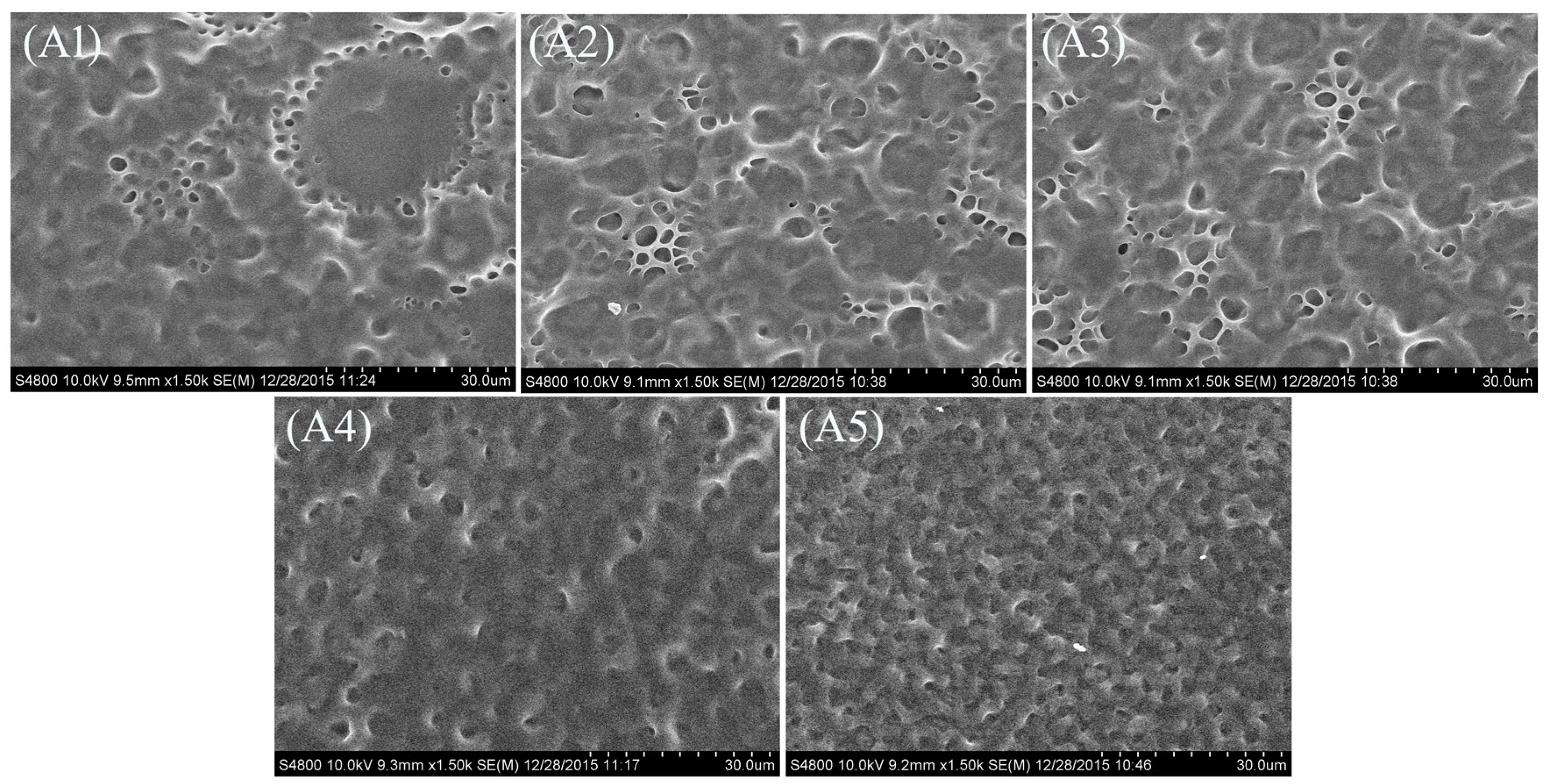 Molecules 22 00043 g002 550