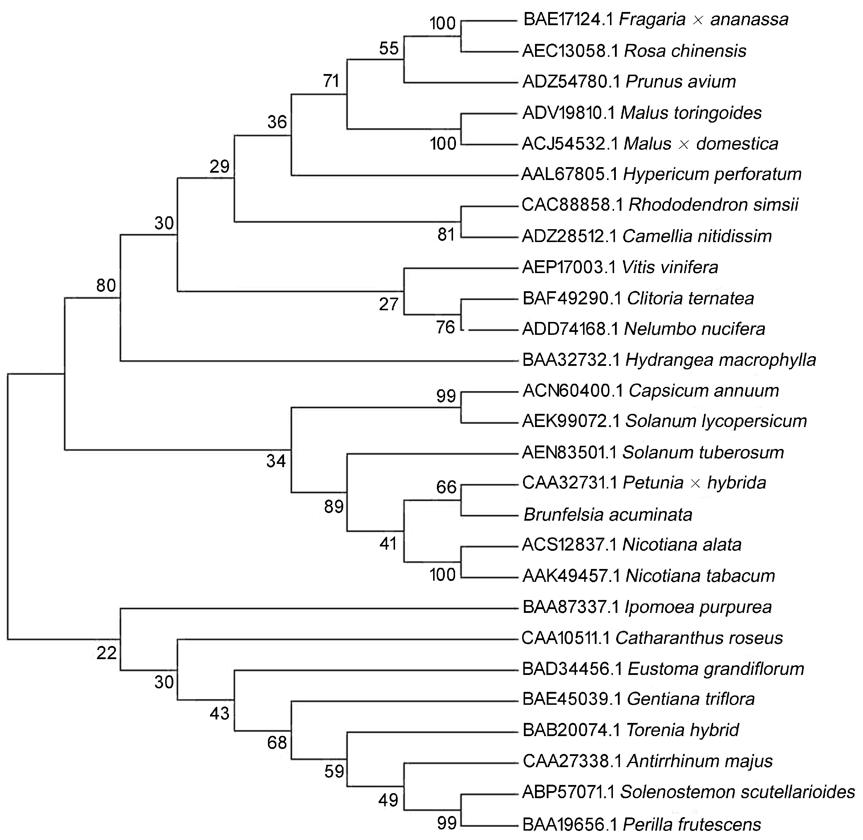 Molecules 22 00044 g005 550