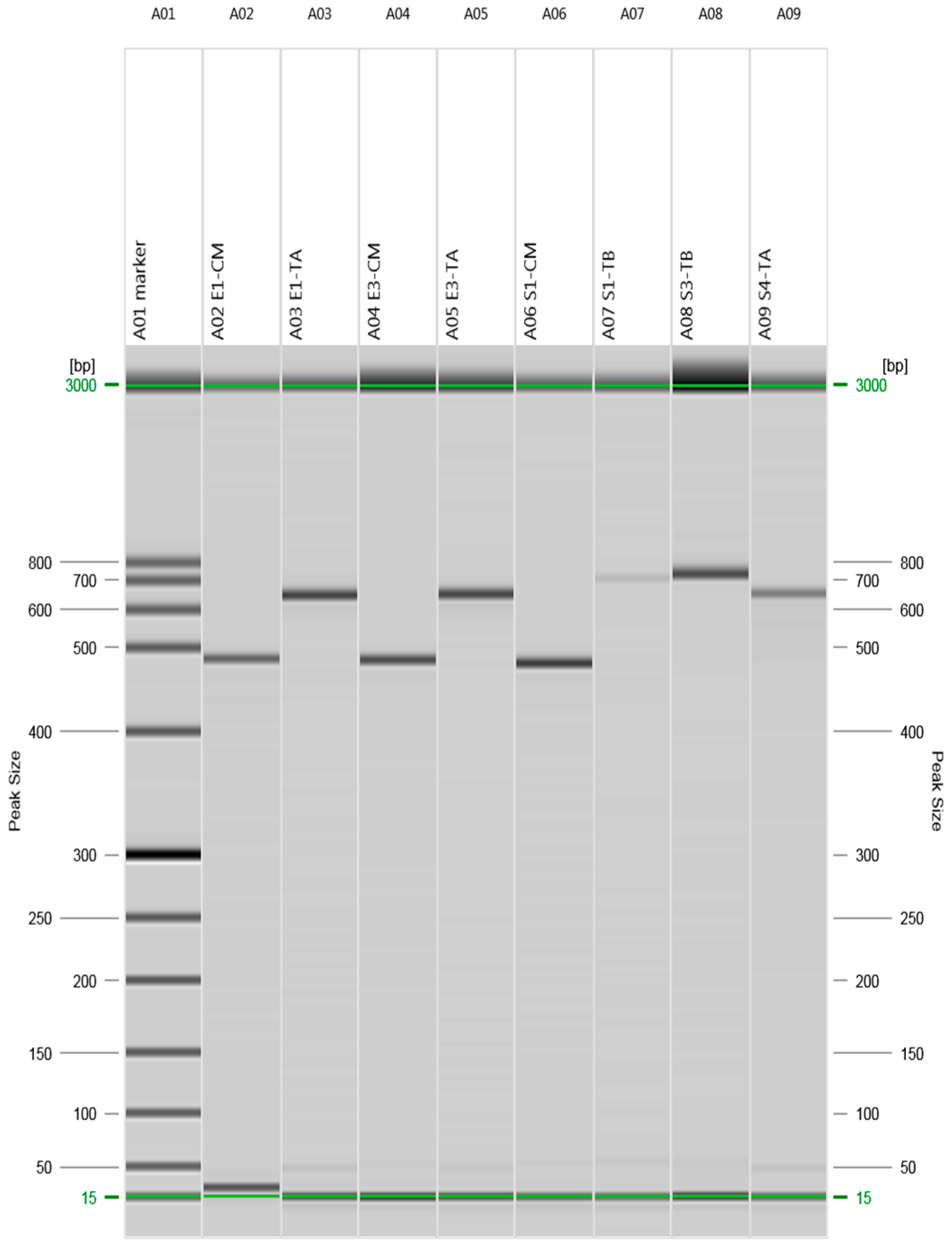 Molecules 22 00047 g001 550
