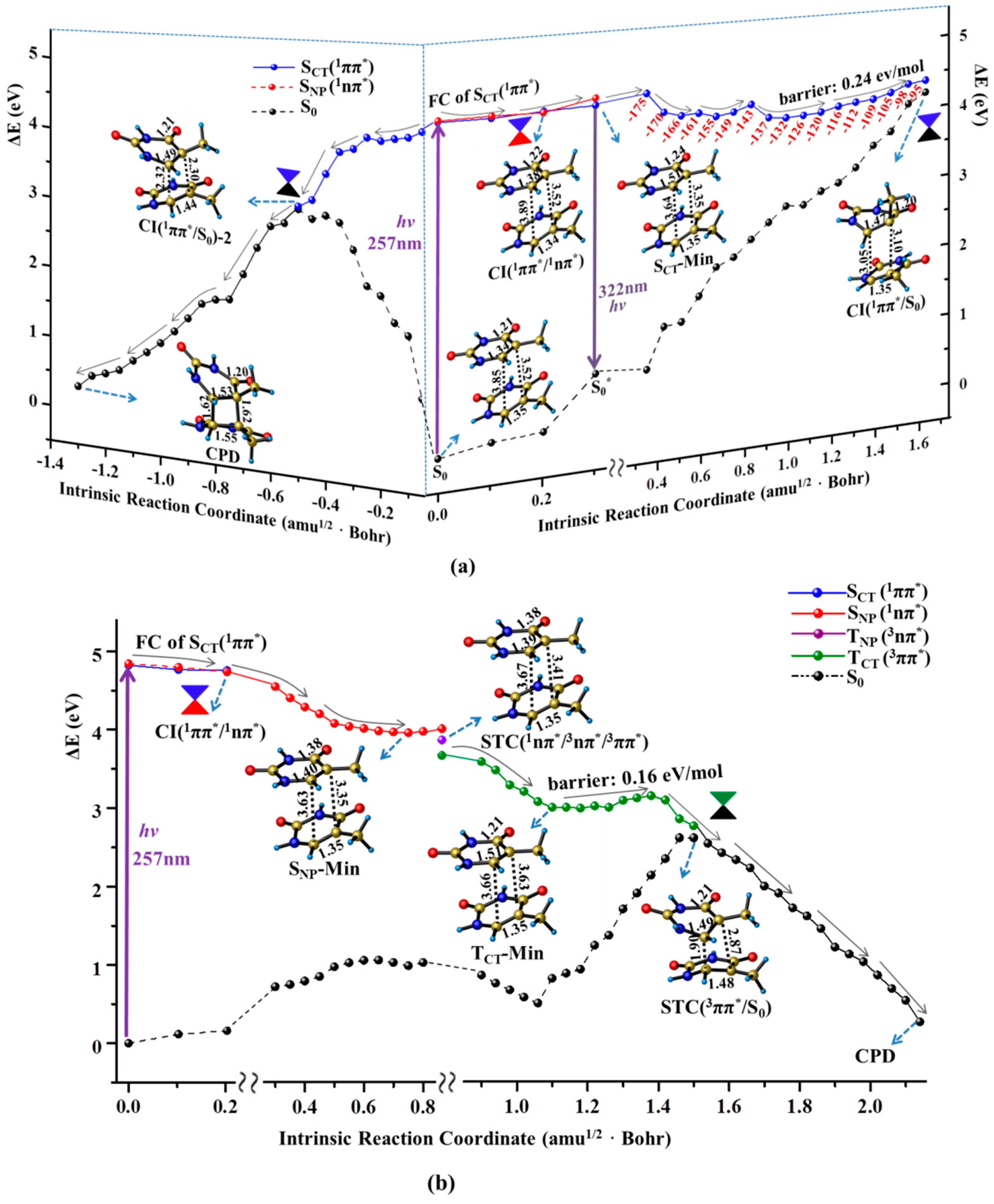 Molecules 22 00060 g003