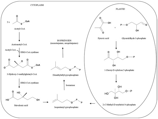 clonazepam 0.5 mg for restless legs