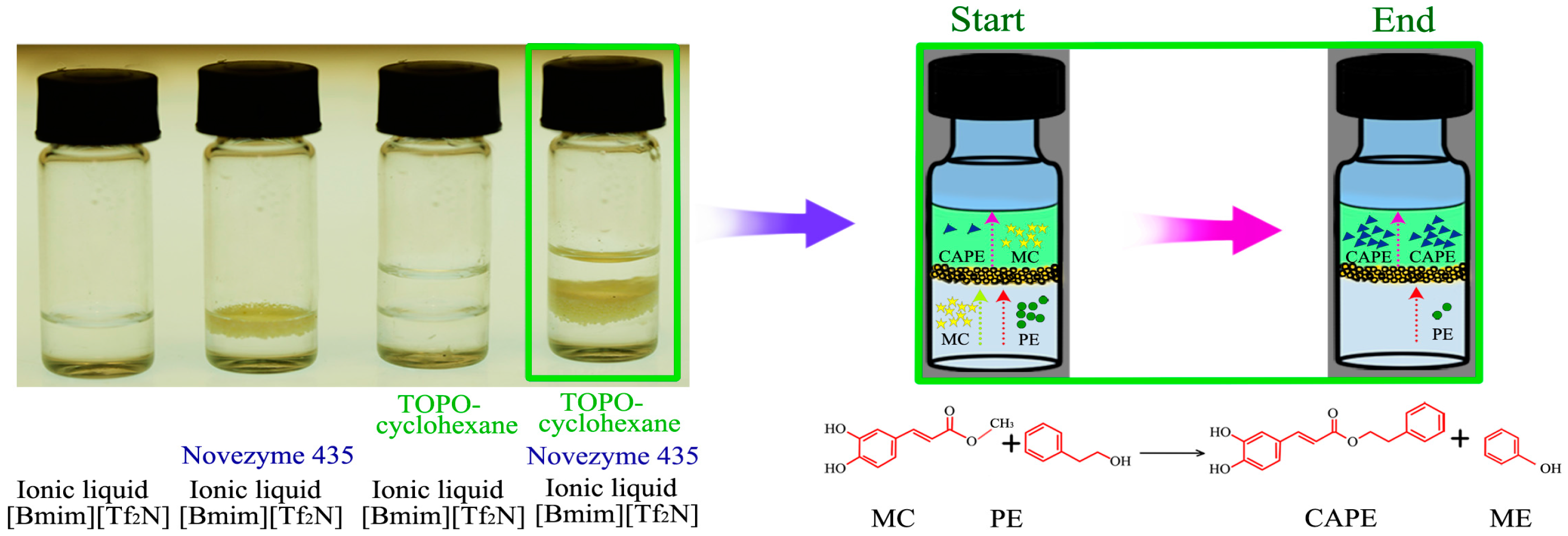 Molecules 22 00072 g001 550