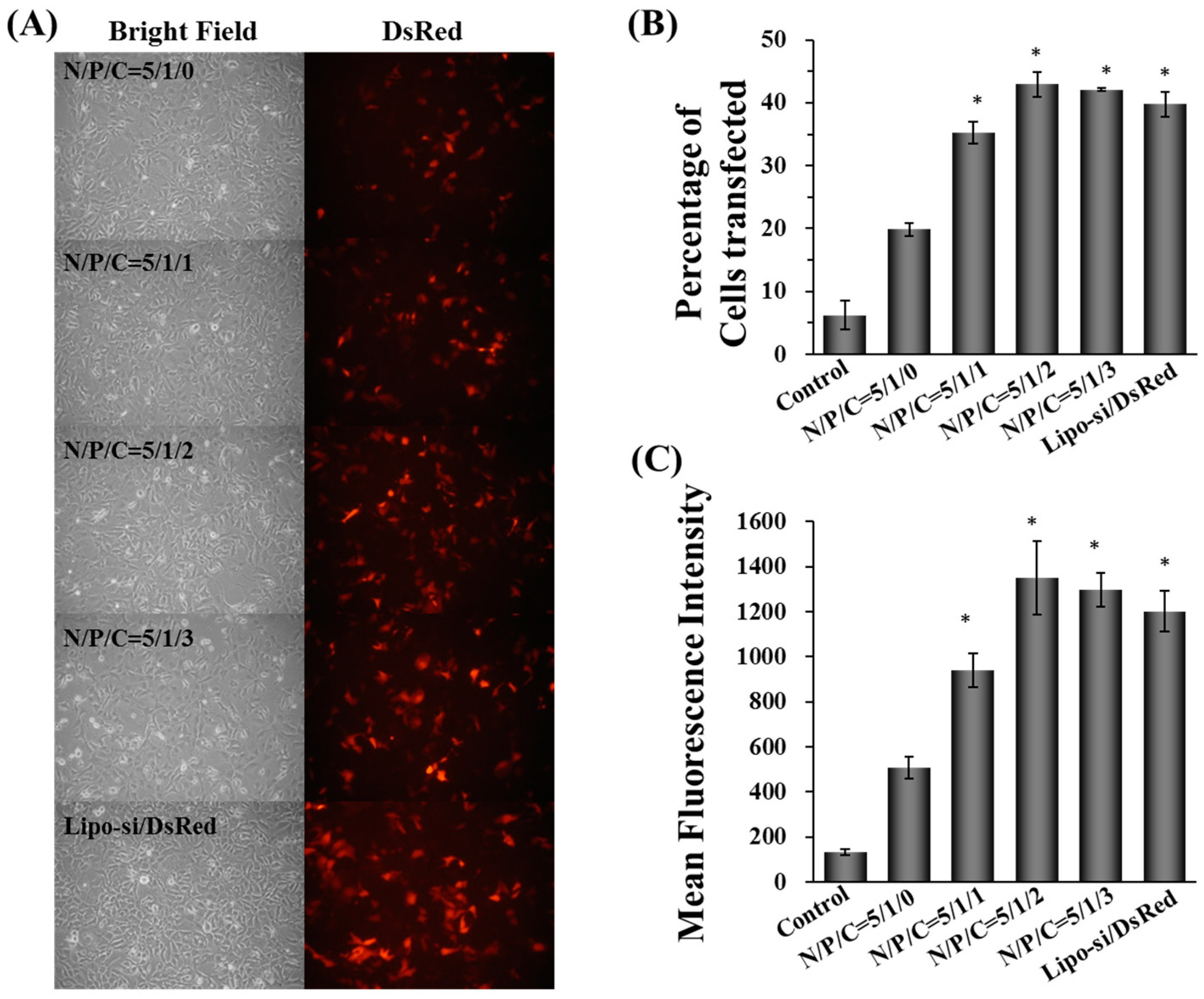 Molecules Free Full Text Novel Pei Poly G Gutamic Acid Nanoparticles For High Efficient Sirna And Plasmid Dna Co Delivery Html