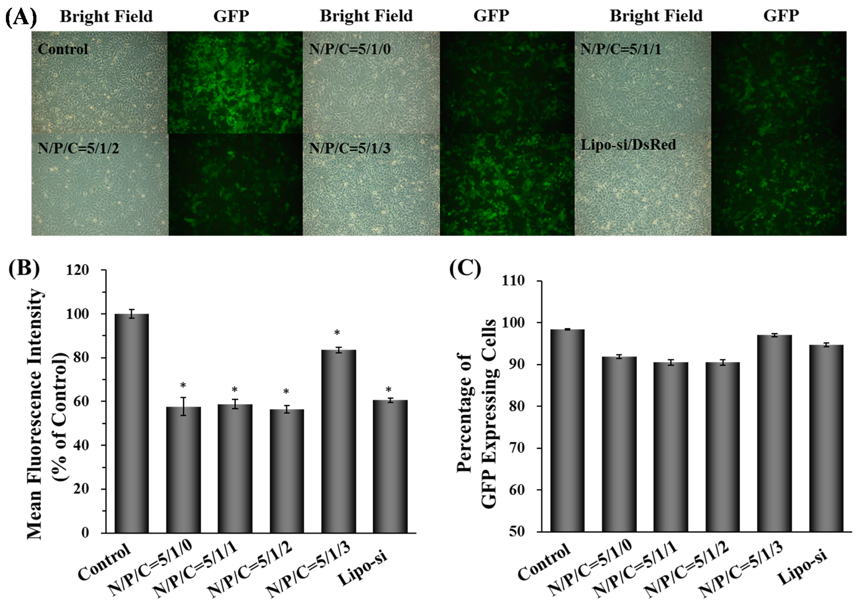 Molecules Free Full Text Novel Pei Poly G Gutamic Acid Nanoparticles For High Efficient Sirna And Plasmid Dna Co Delivery Html