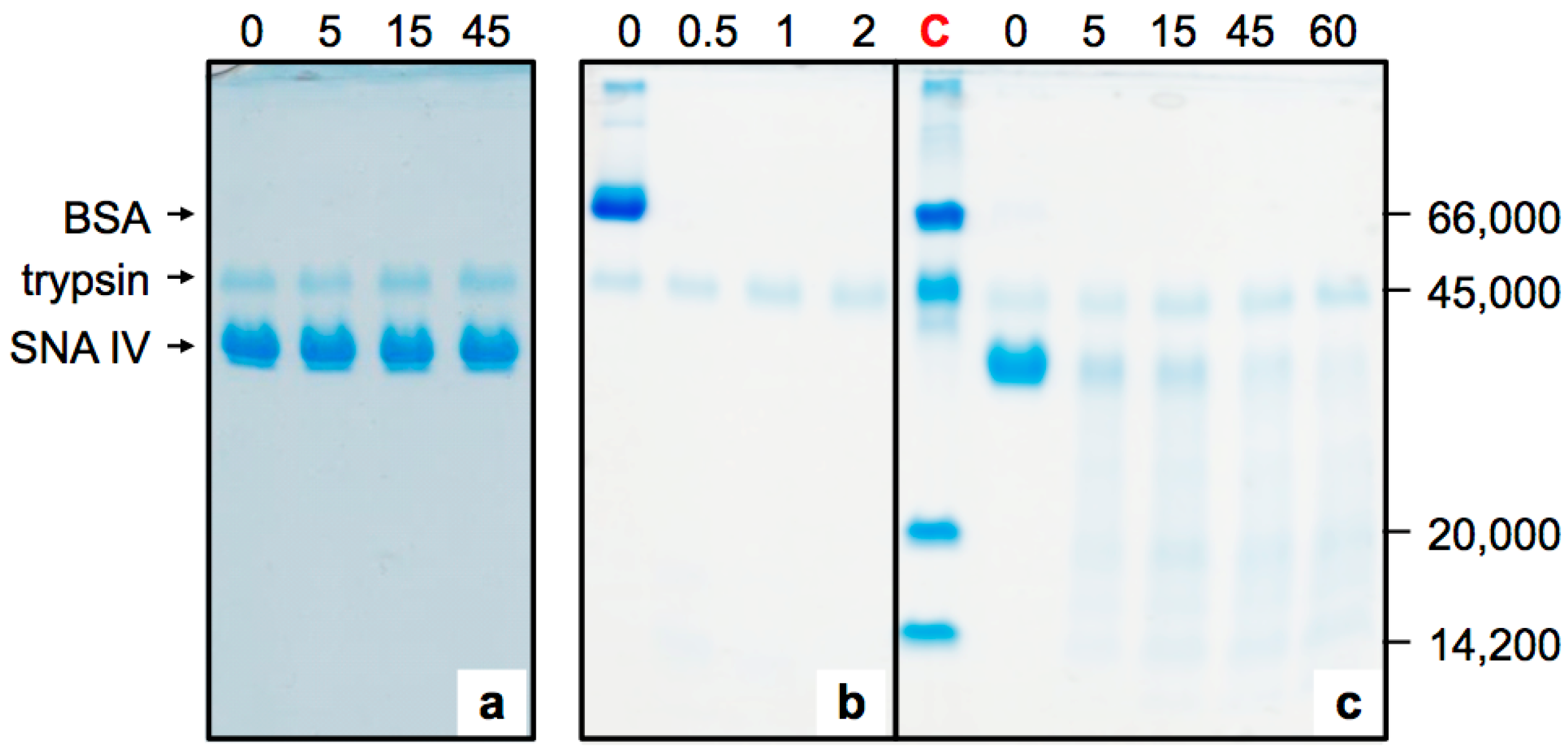Molecules 22 00095 g001 550