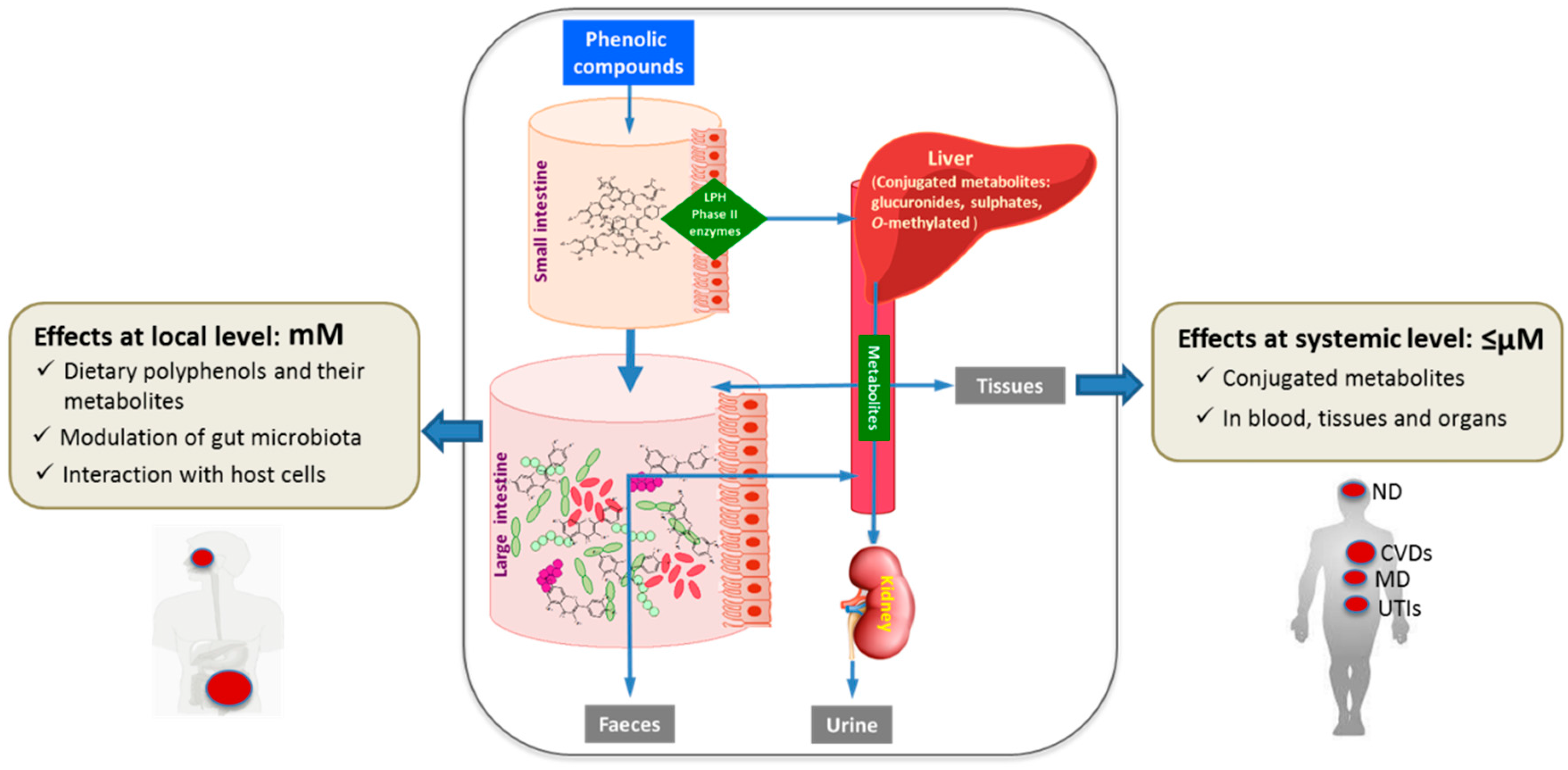 Molecules 22 00099 g001
