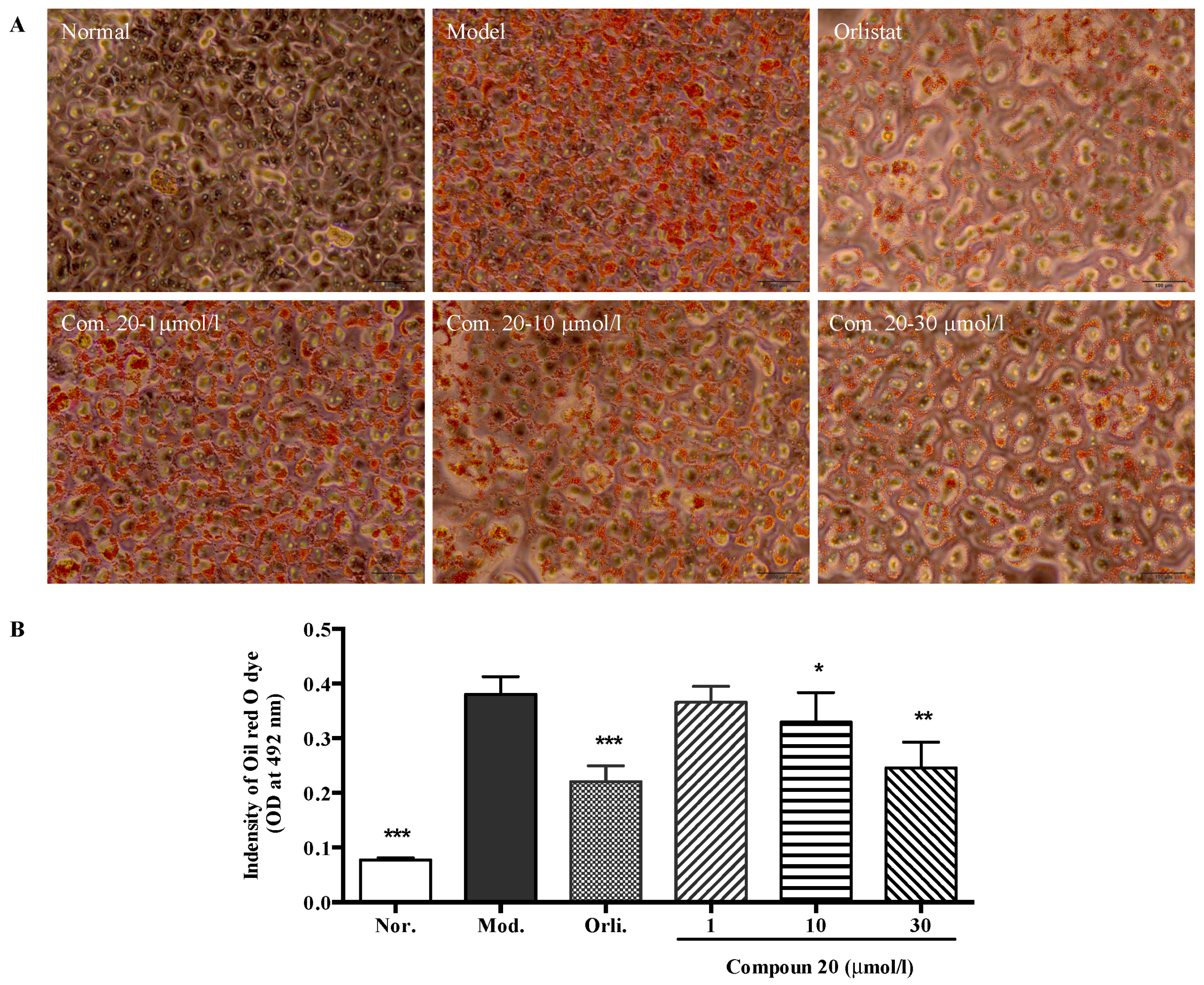 Molecules 22 00110 g007 550