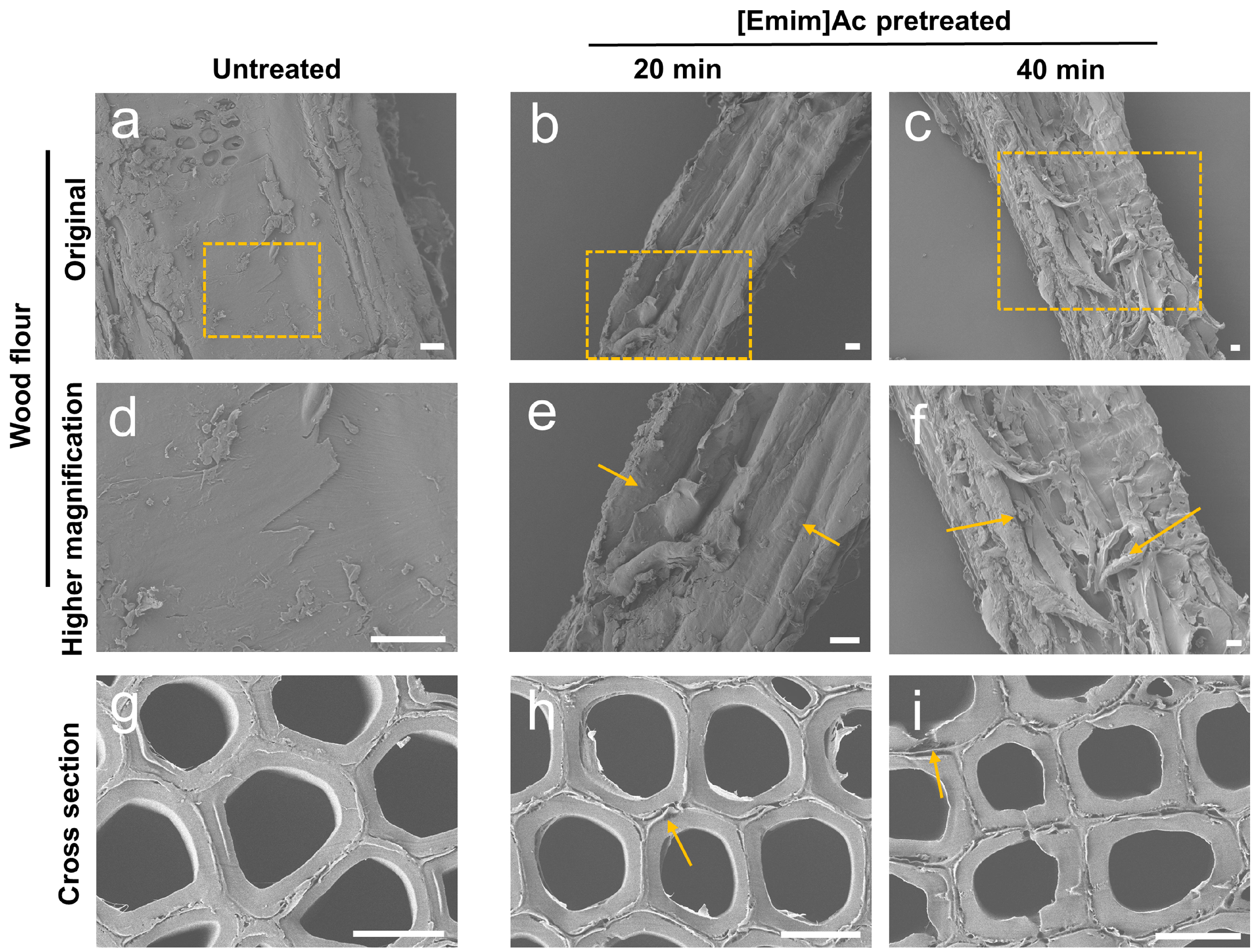 Molecules 22 00115 g004 550