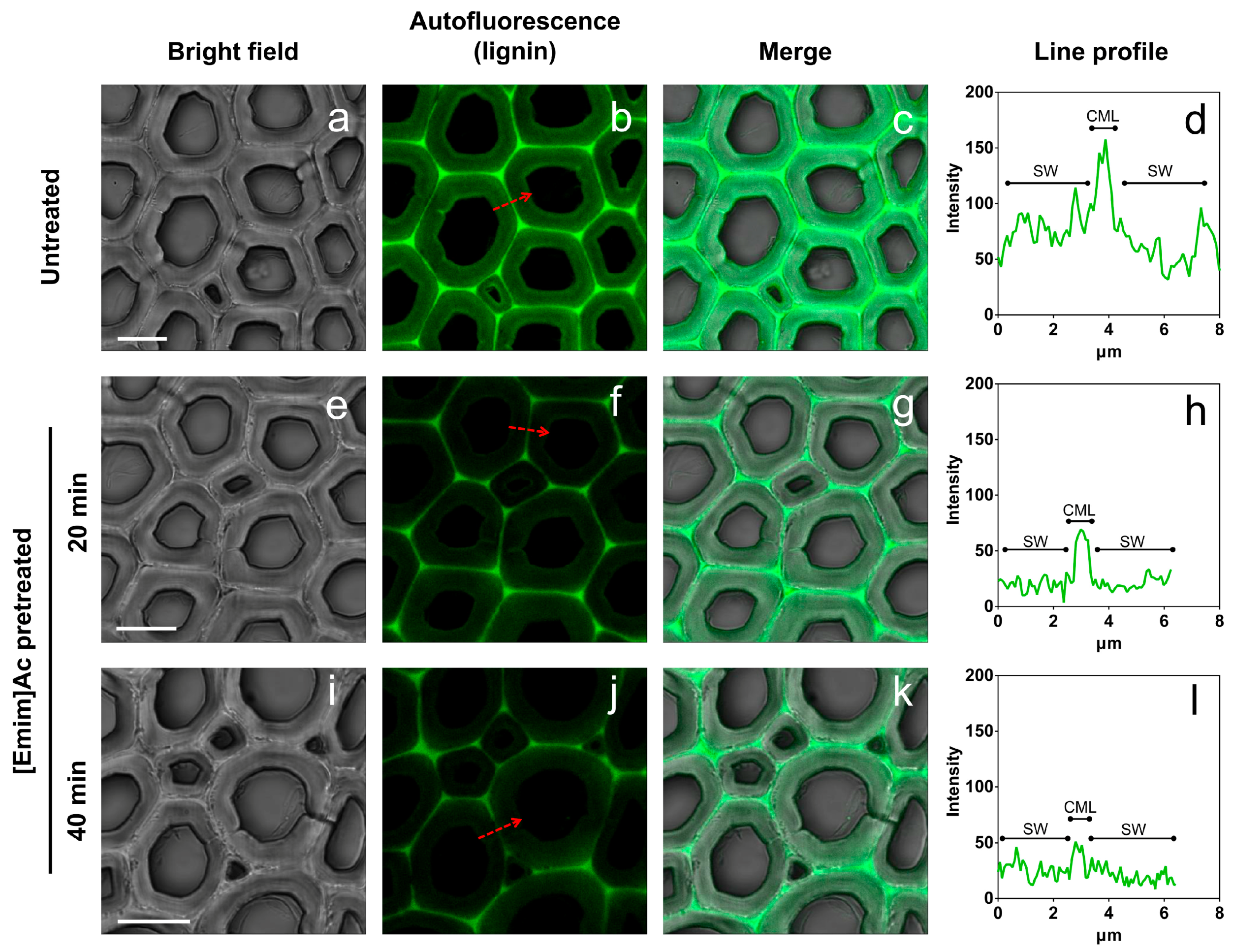 Molecules 22 00115 g005 550