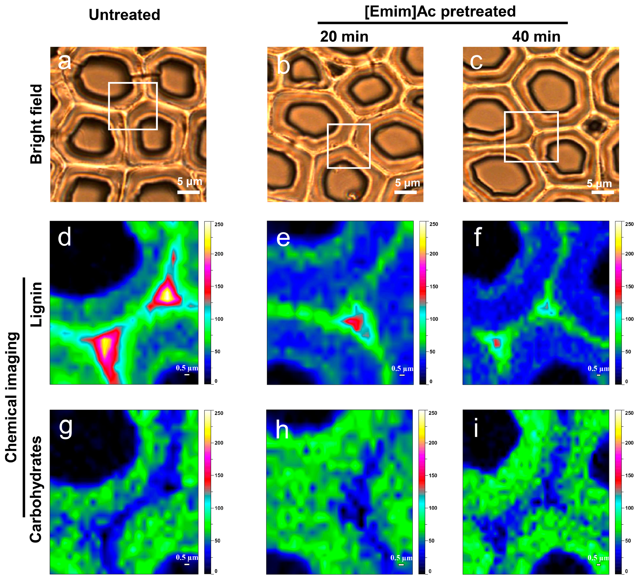 Molecules 22 00115 g007 550