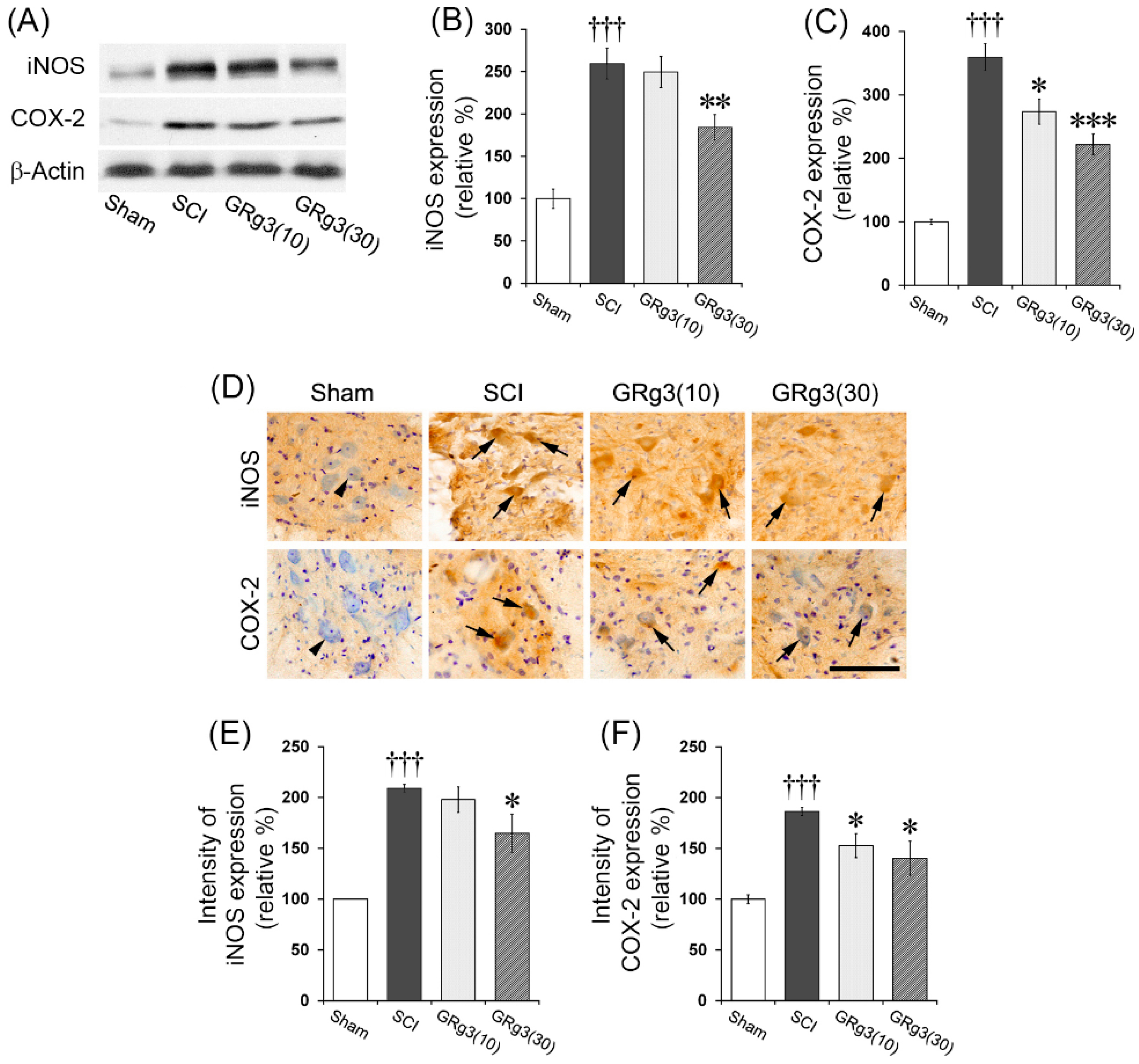 Molecules 22 00122 g006 550