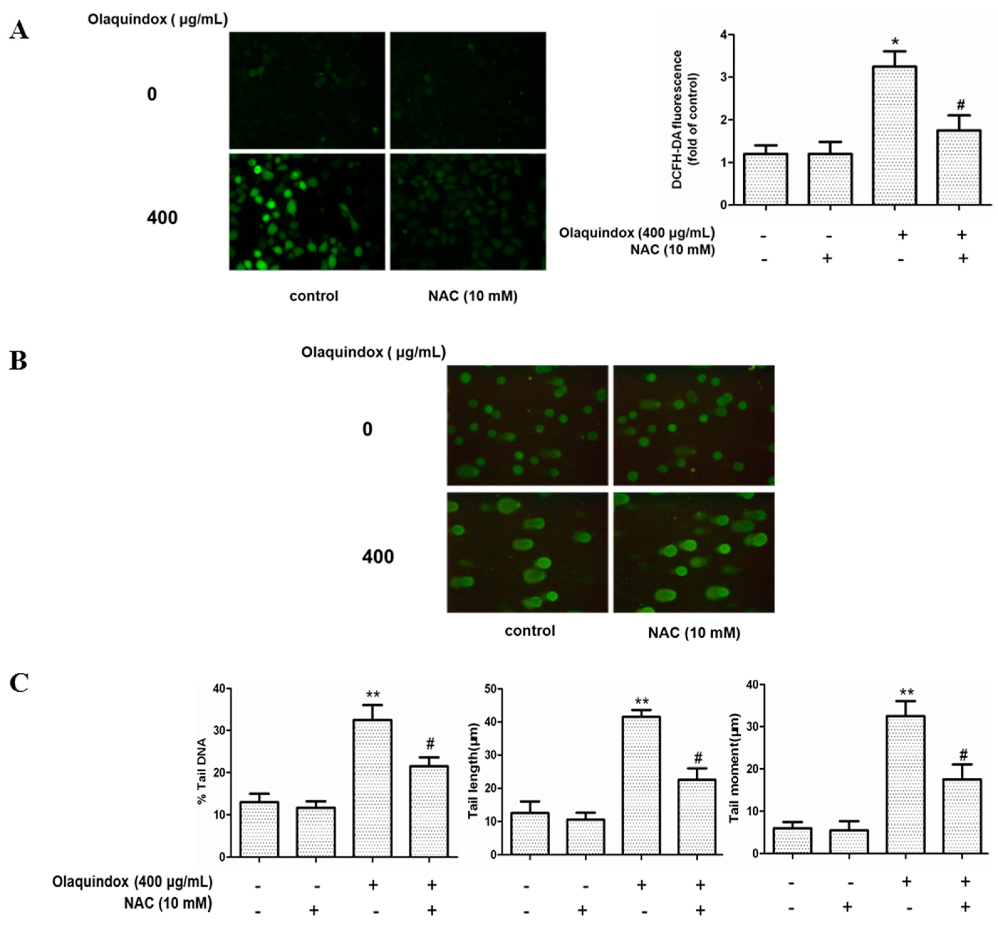 Molecules 22 00124 g005