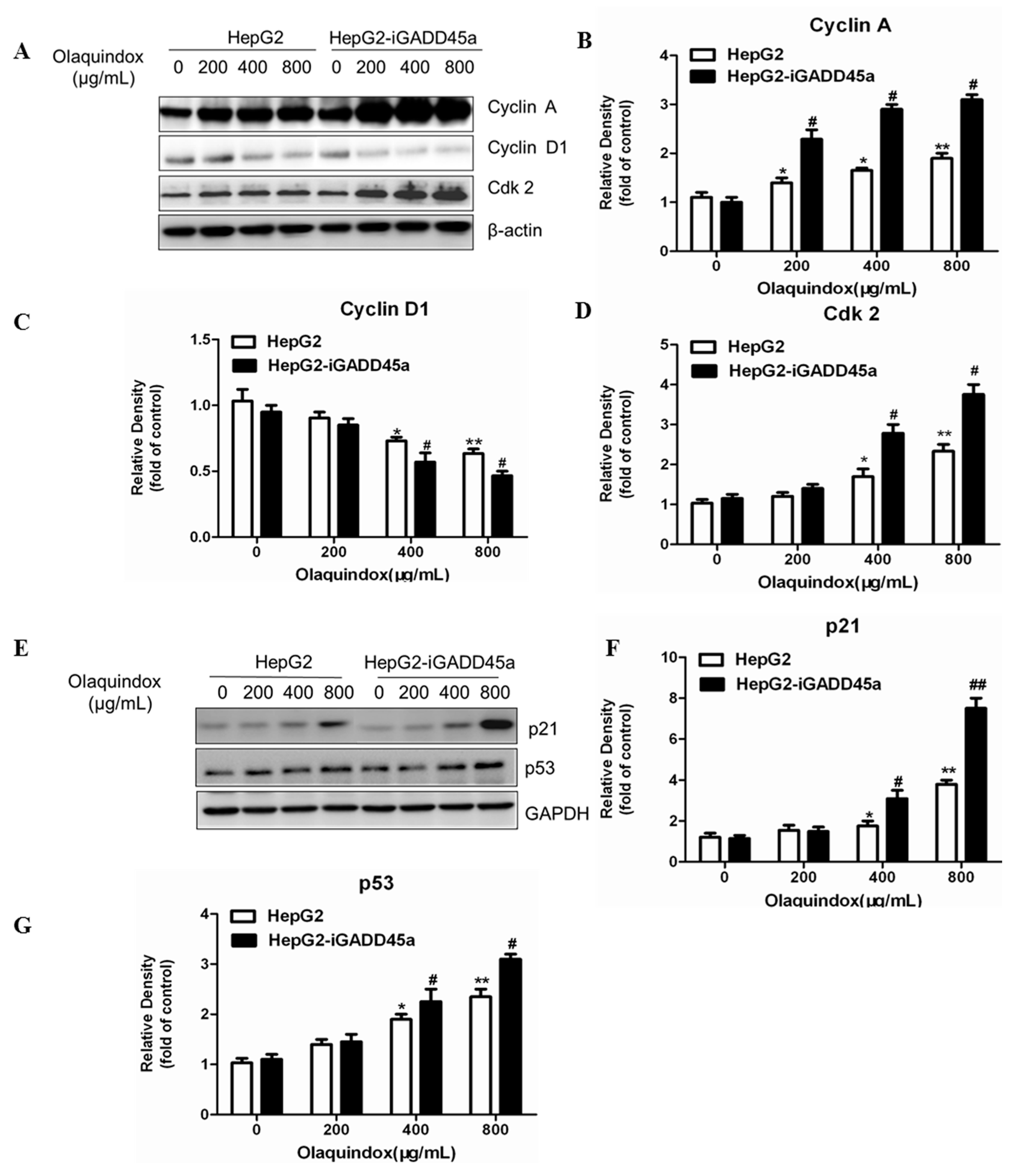 Molecules 22 00124 g007
