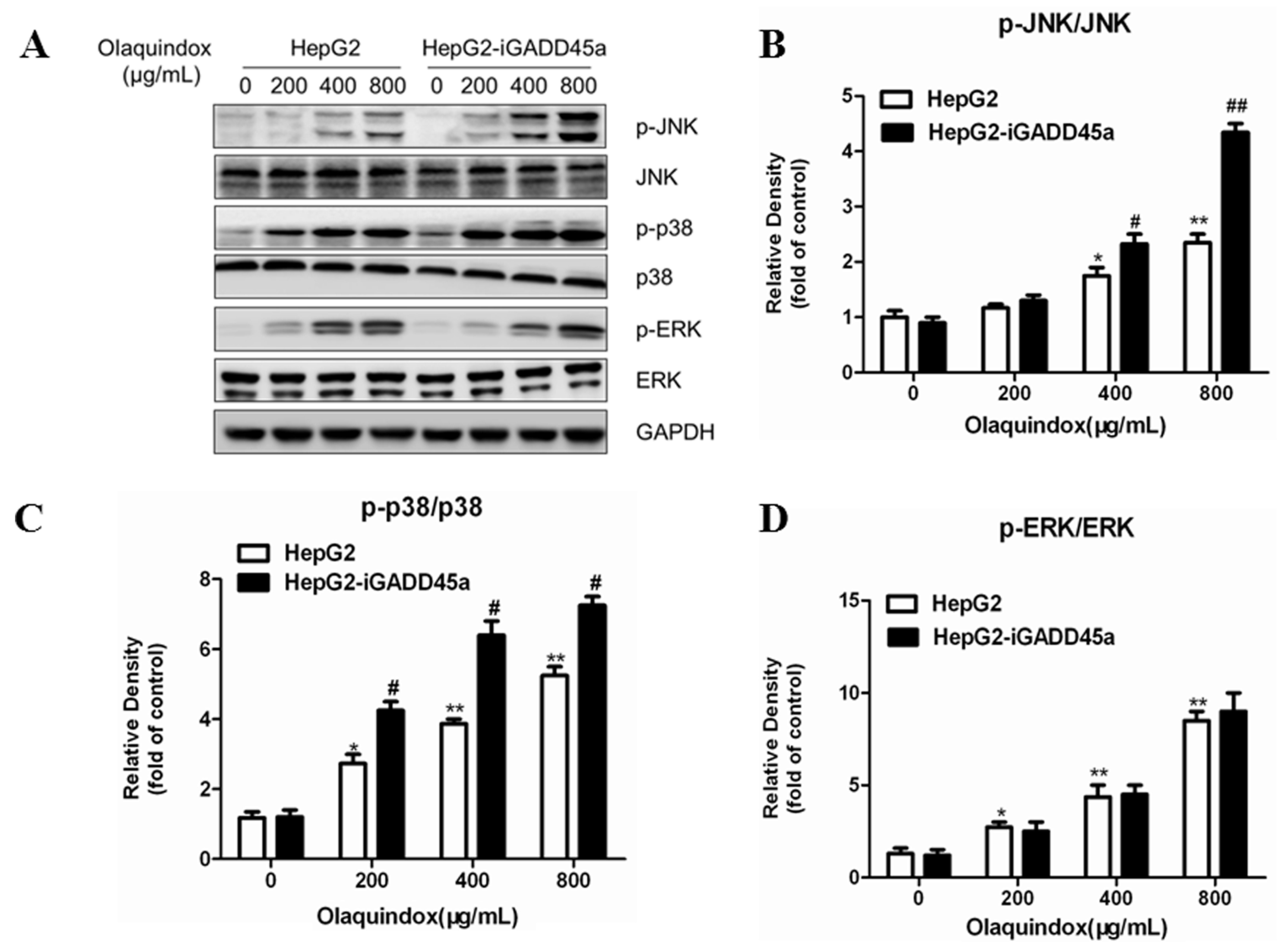 Molecules 22 00124 g008
