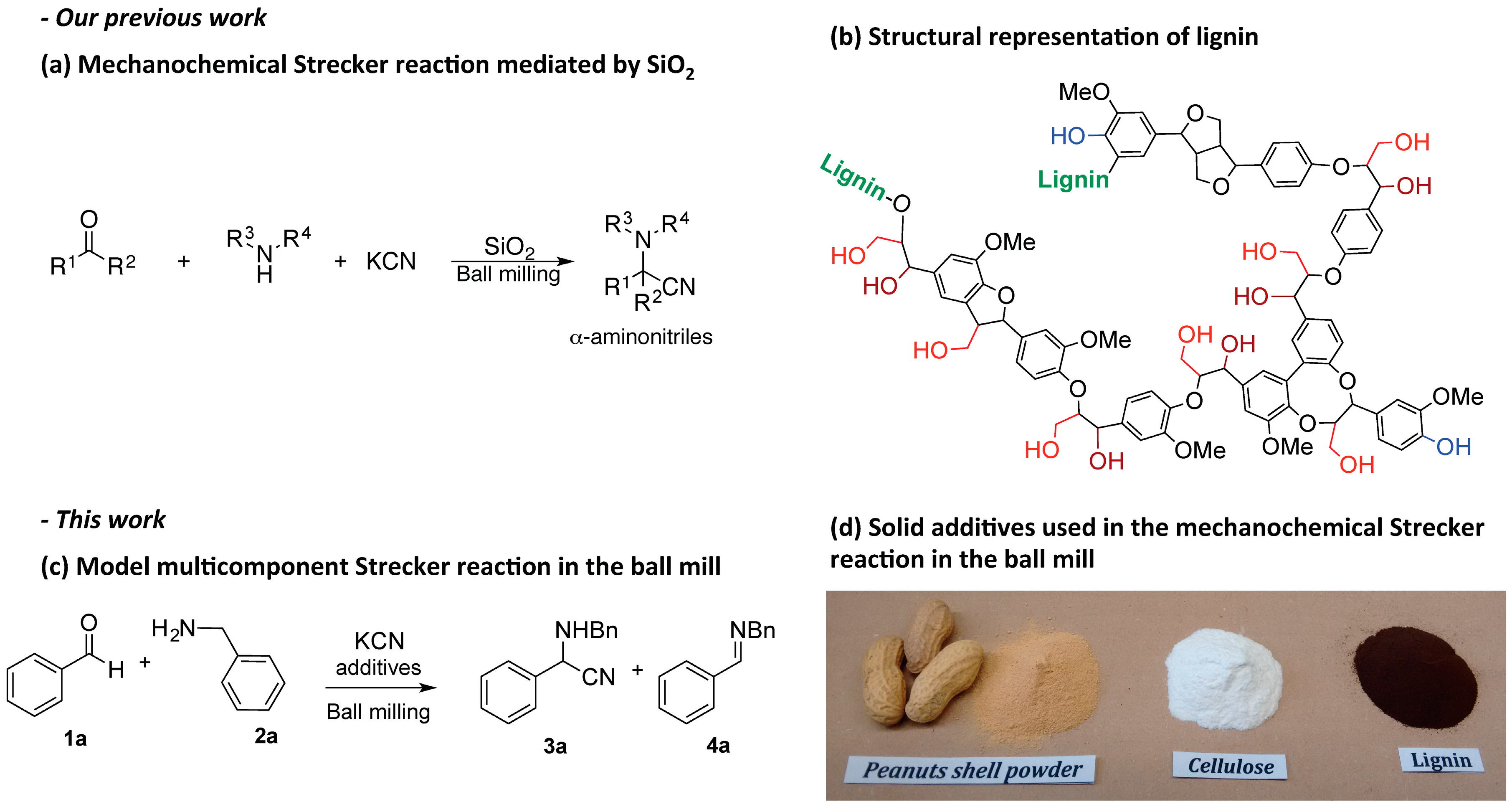 Molecules 22 00146 g001