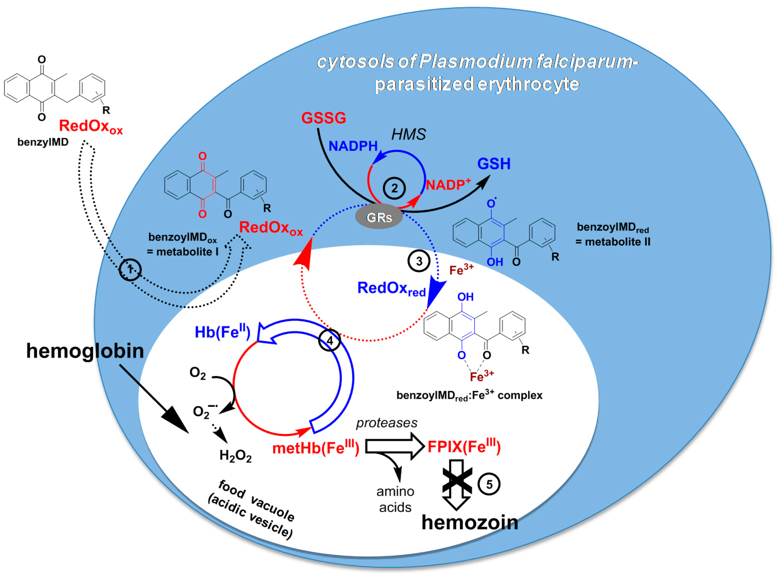 Molecules 22 00161 g005
