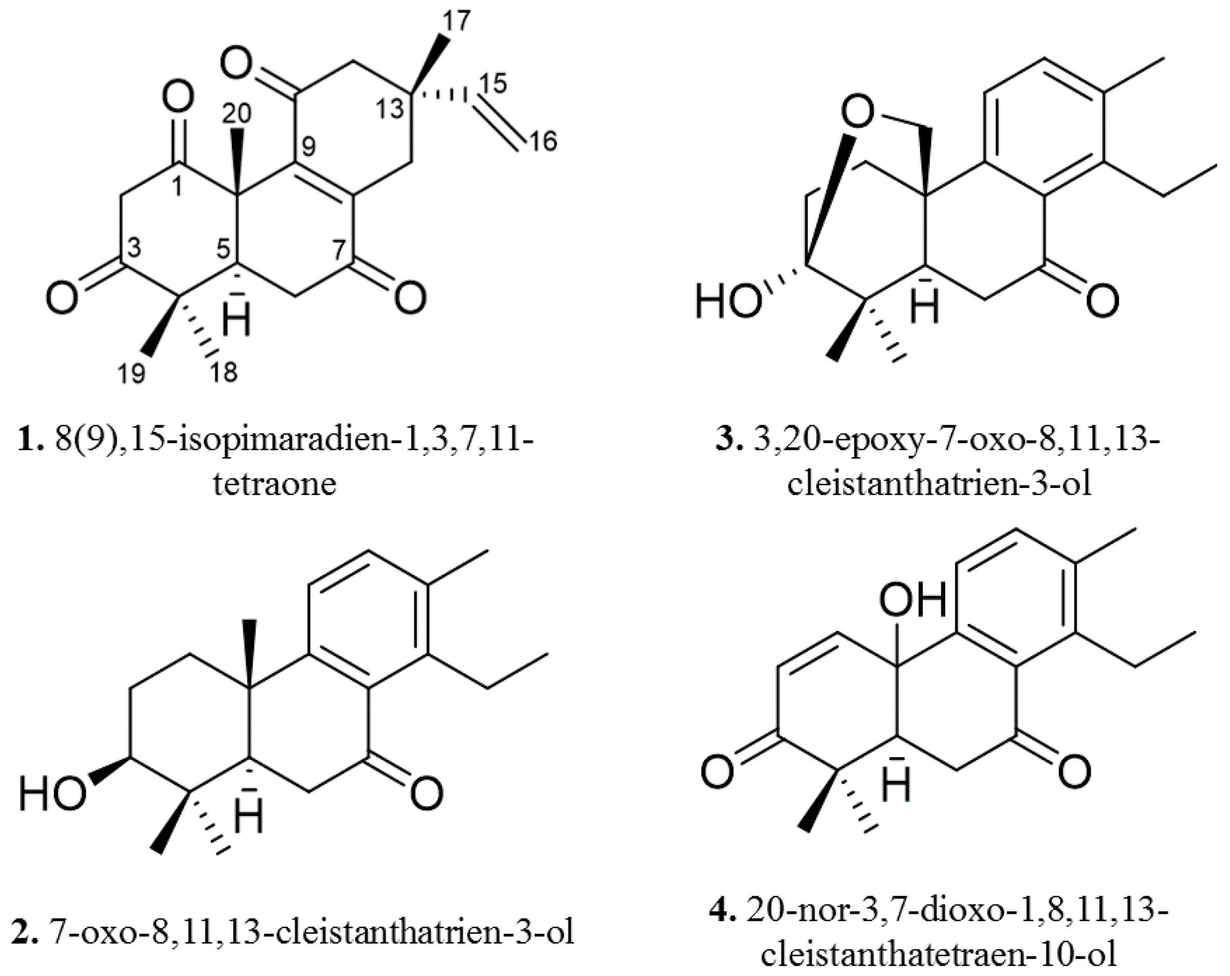Molecules 22 00175 g002